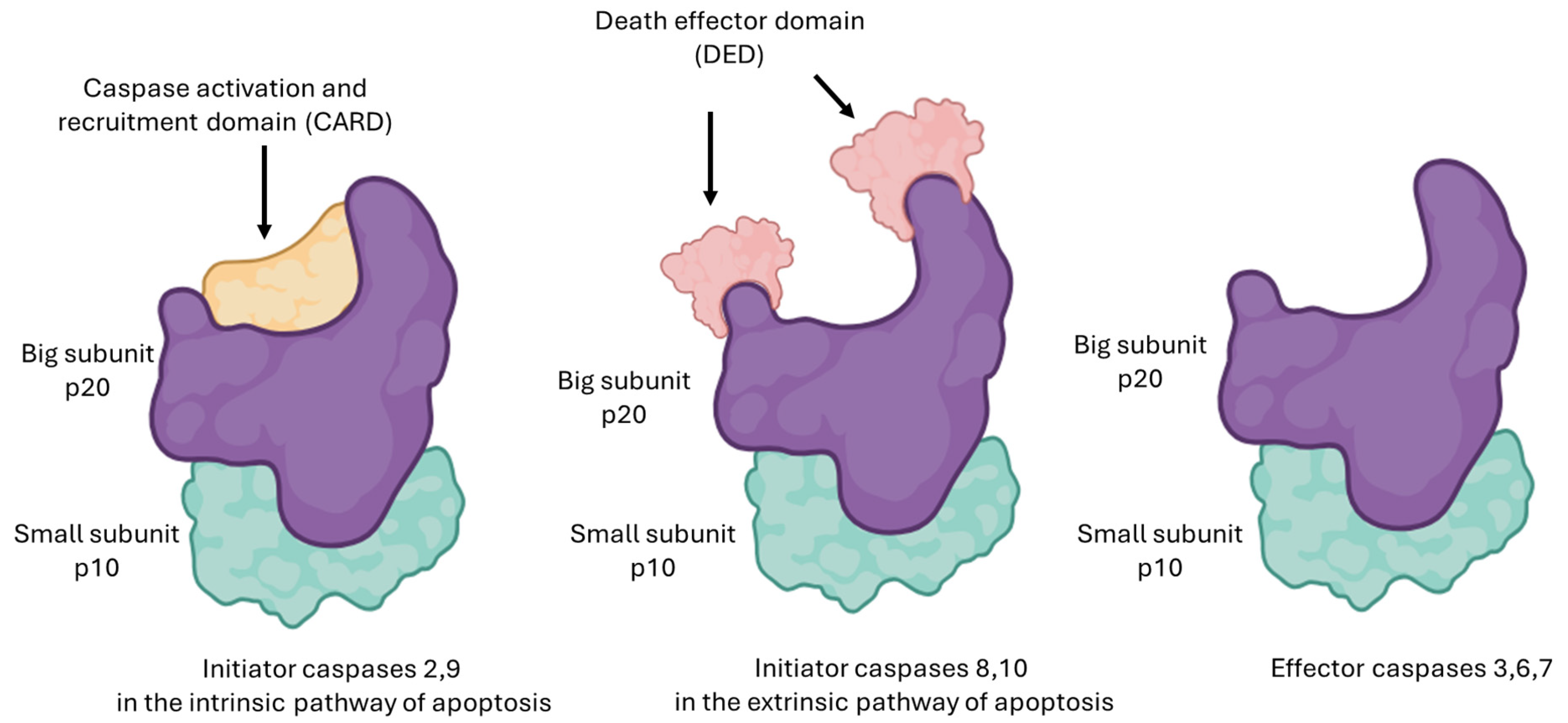 Pharmaceutics 17 01414 g005 Pharmaceutics 17 01414 g005