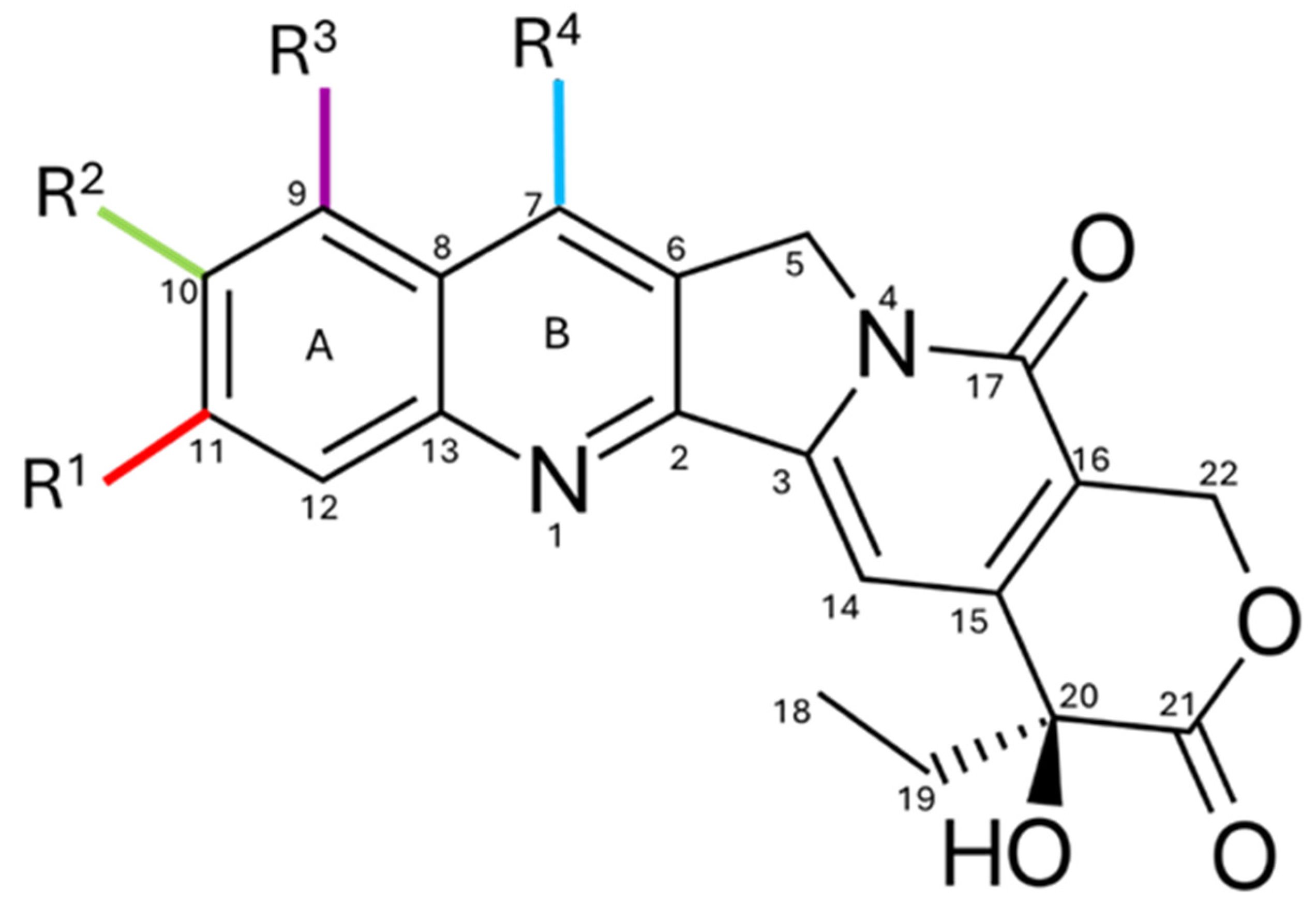 Pharmaceutics 17 01414 g007 Pharmaceutics 17 01414 g007