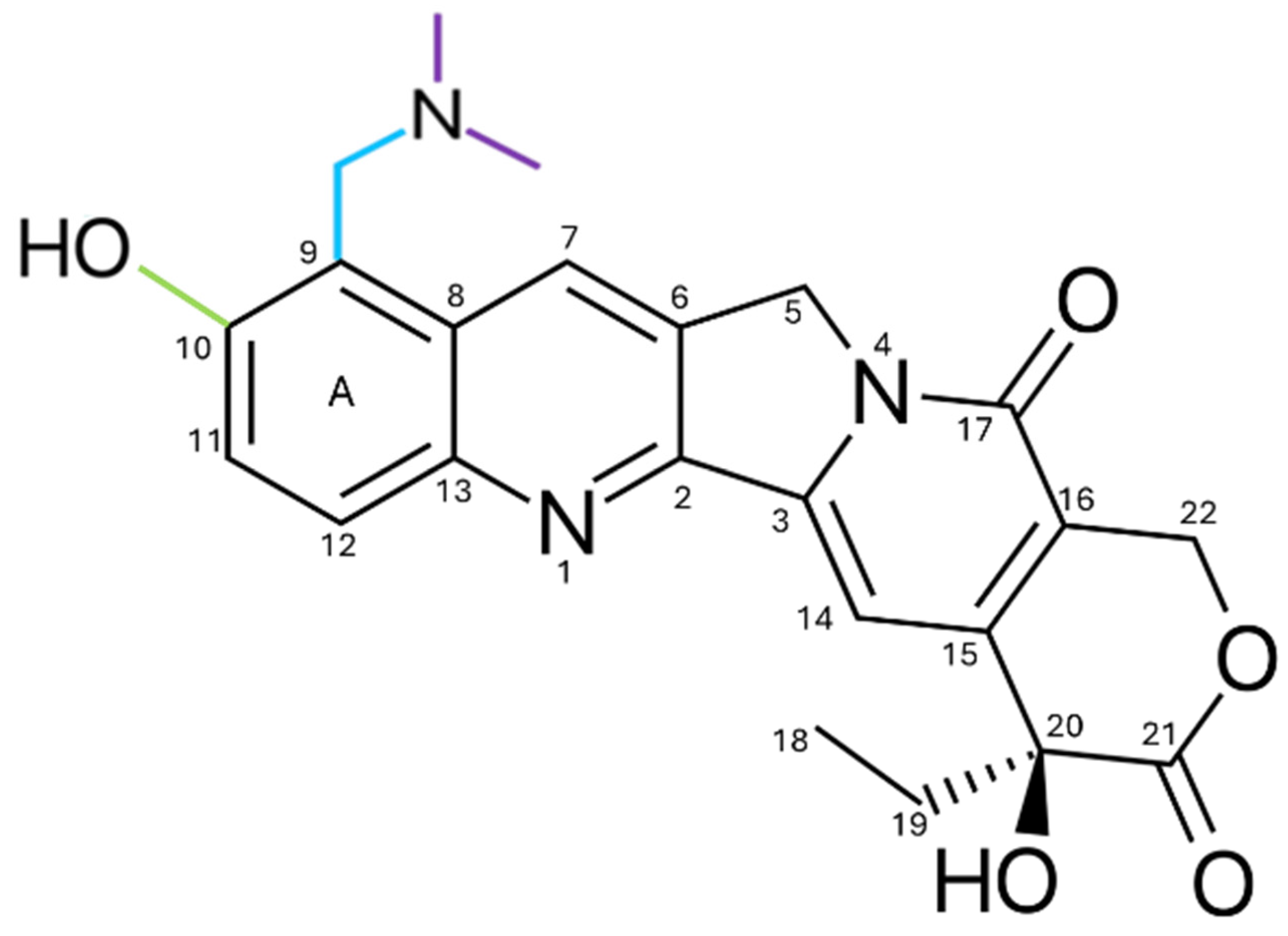 Pharmaceutics 17 01414 g010 Pharmaceutics 17 01414 g010