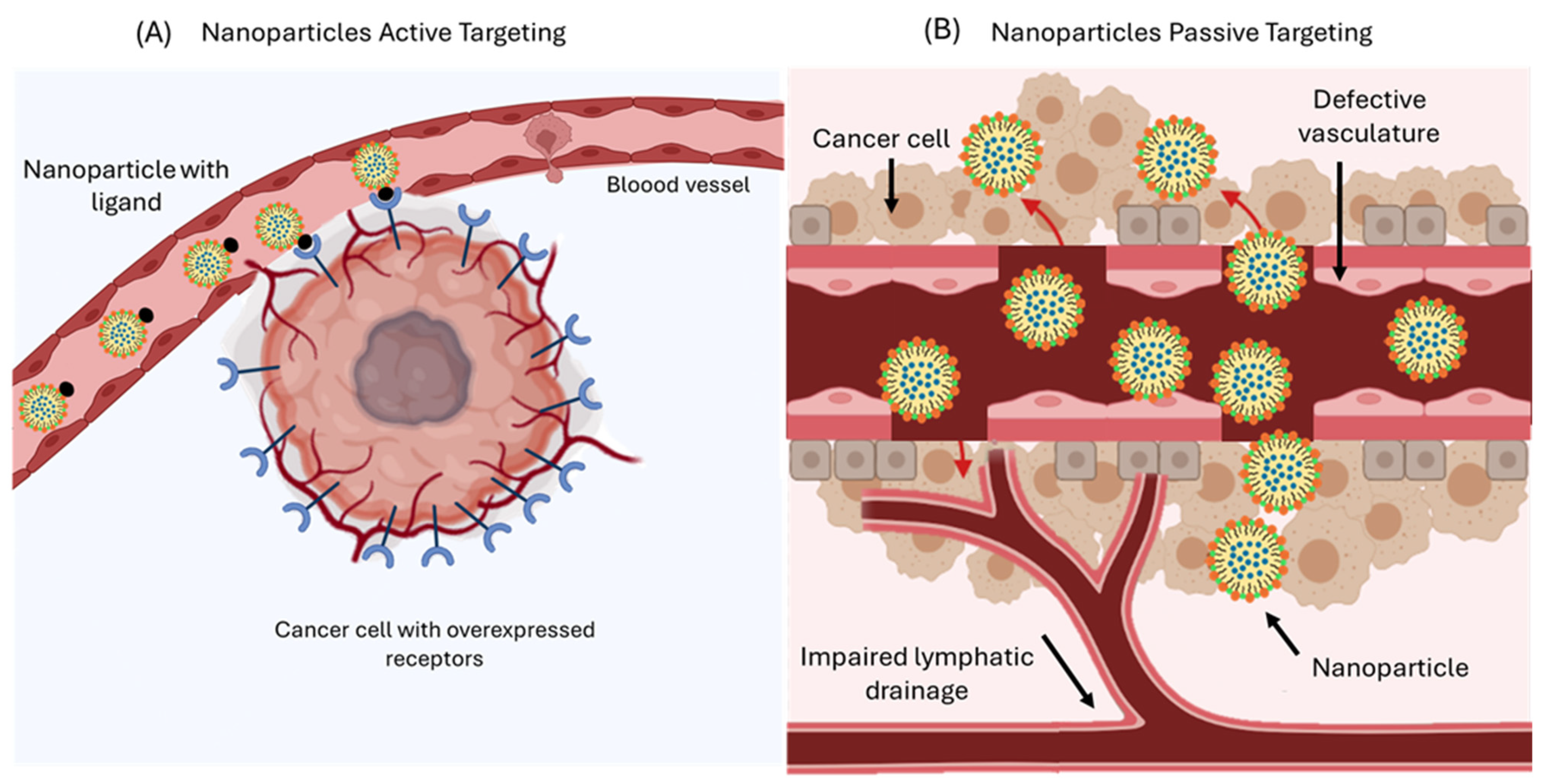 Pharmaceutics 17 01414 g015 Pharmaceutics 17 01414 g015