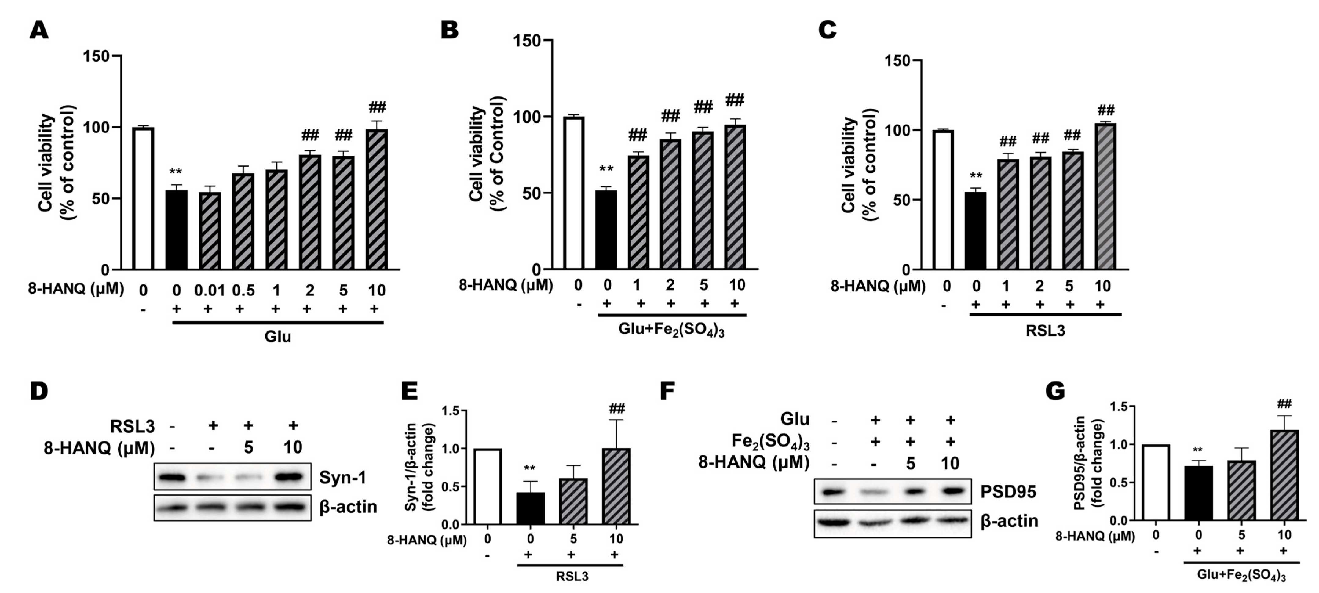 Pharmaceutics 17 01415 g002