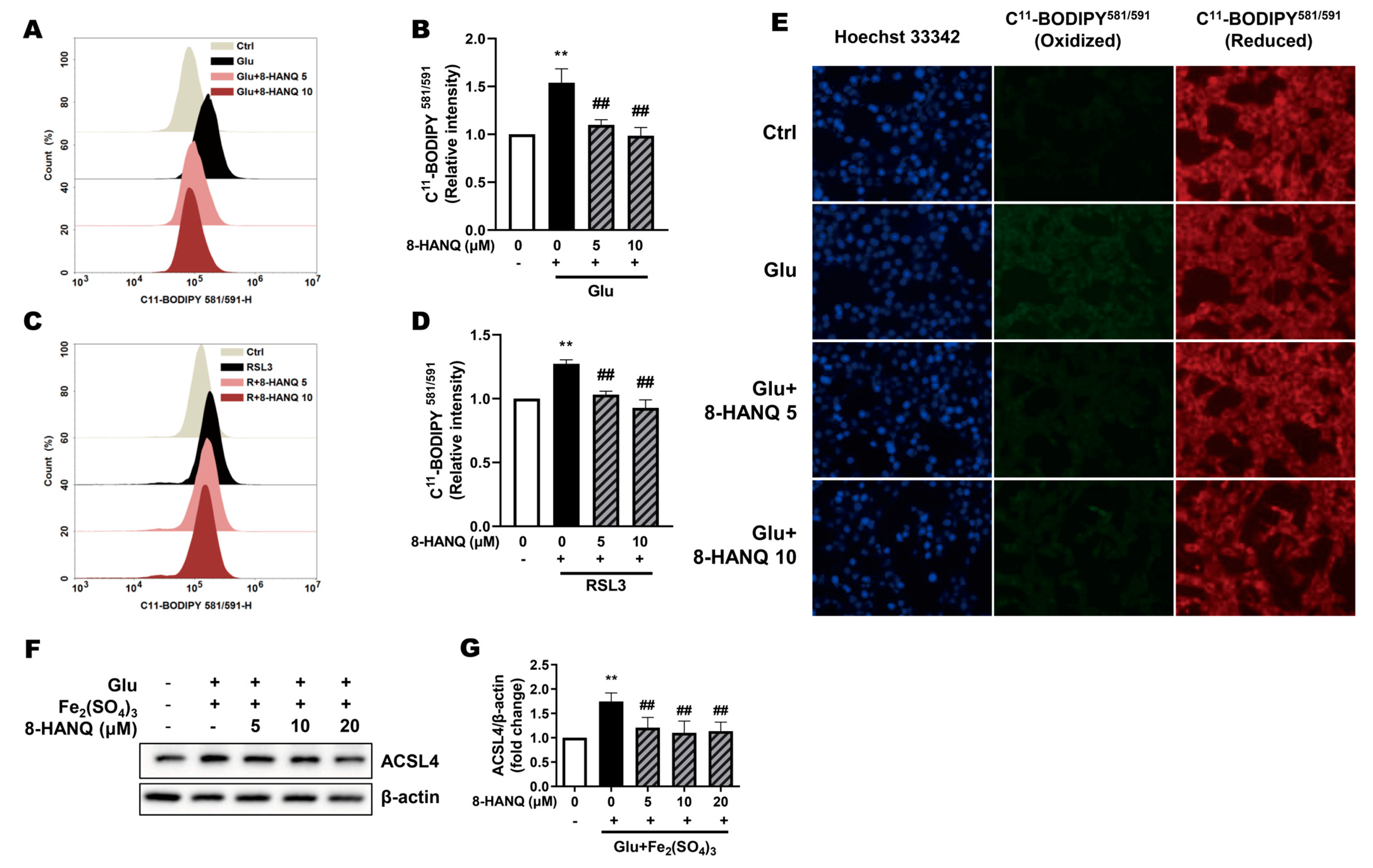 Pharmaceutics 17 01415 g003