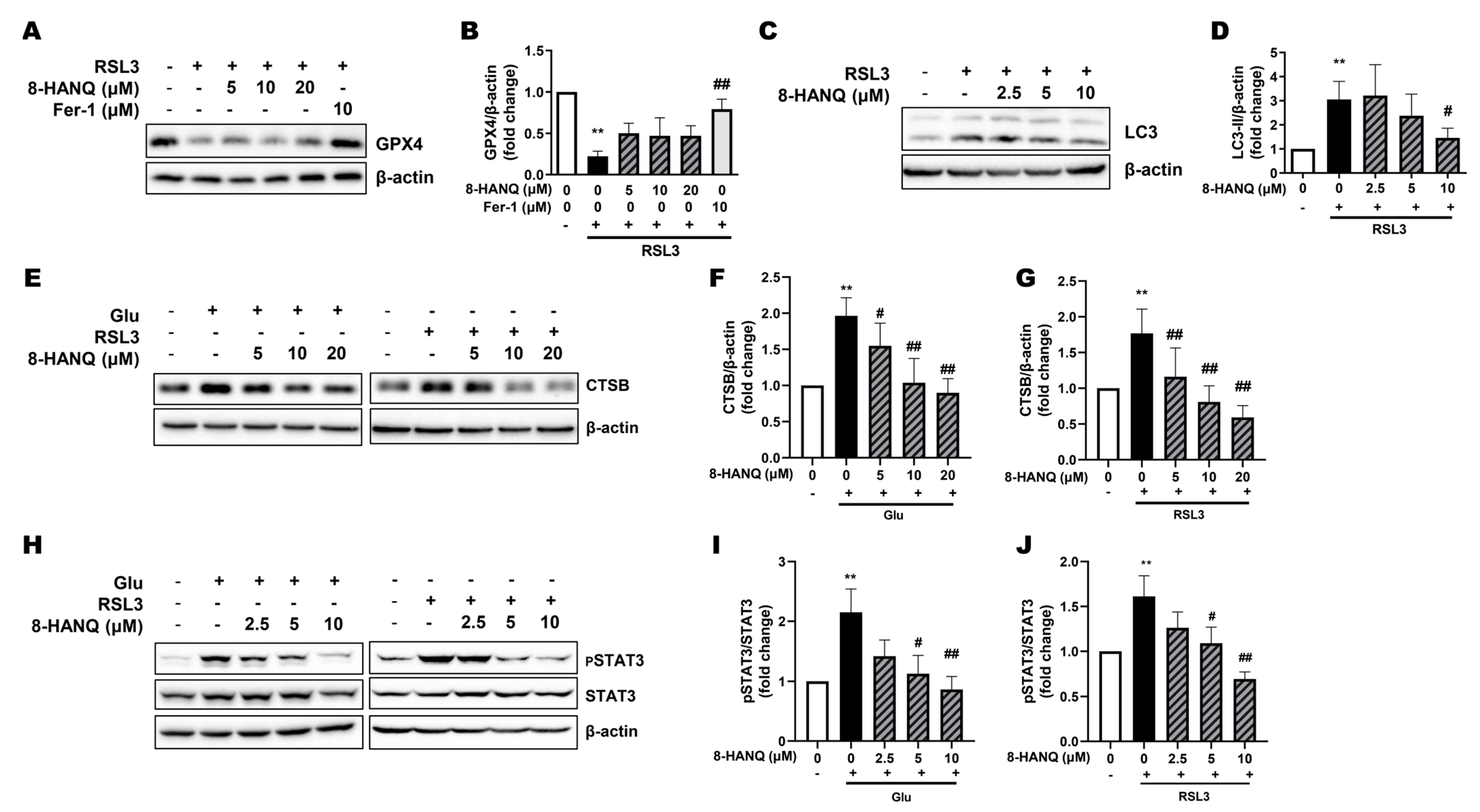 Pharmaceutics 17 01415 g004