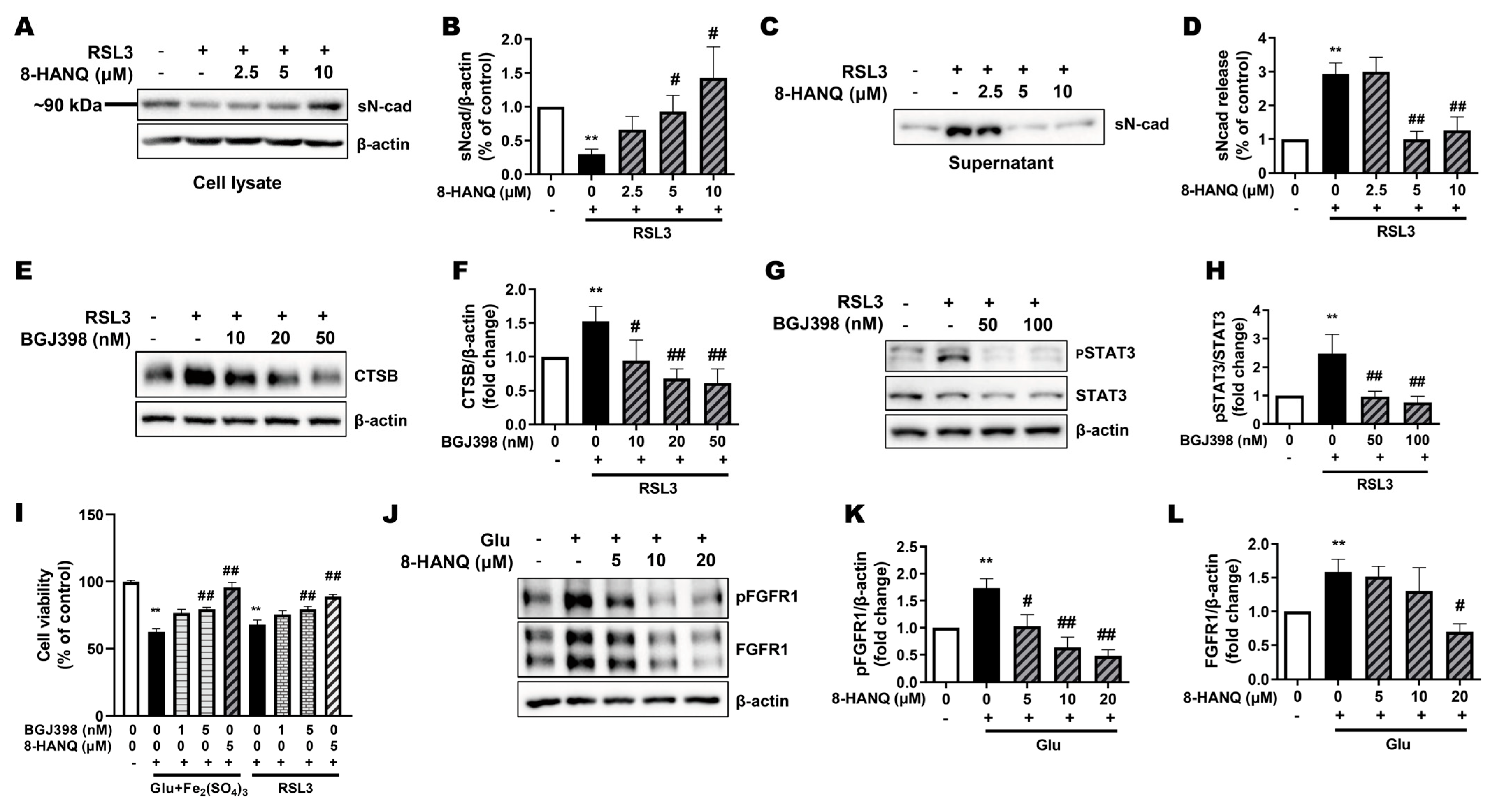 Pharmaceutics 17 01415 g005