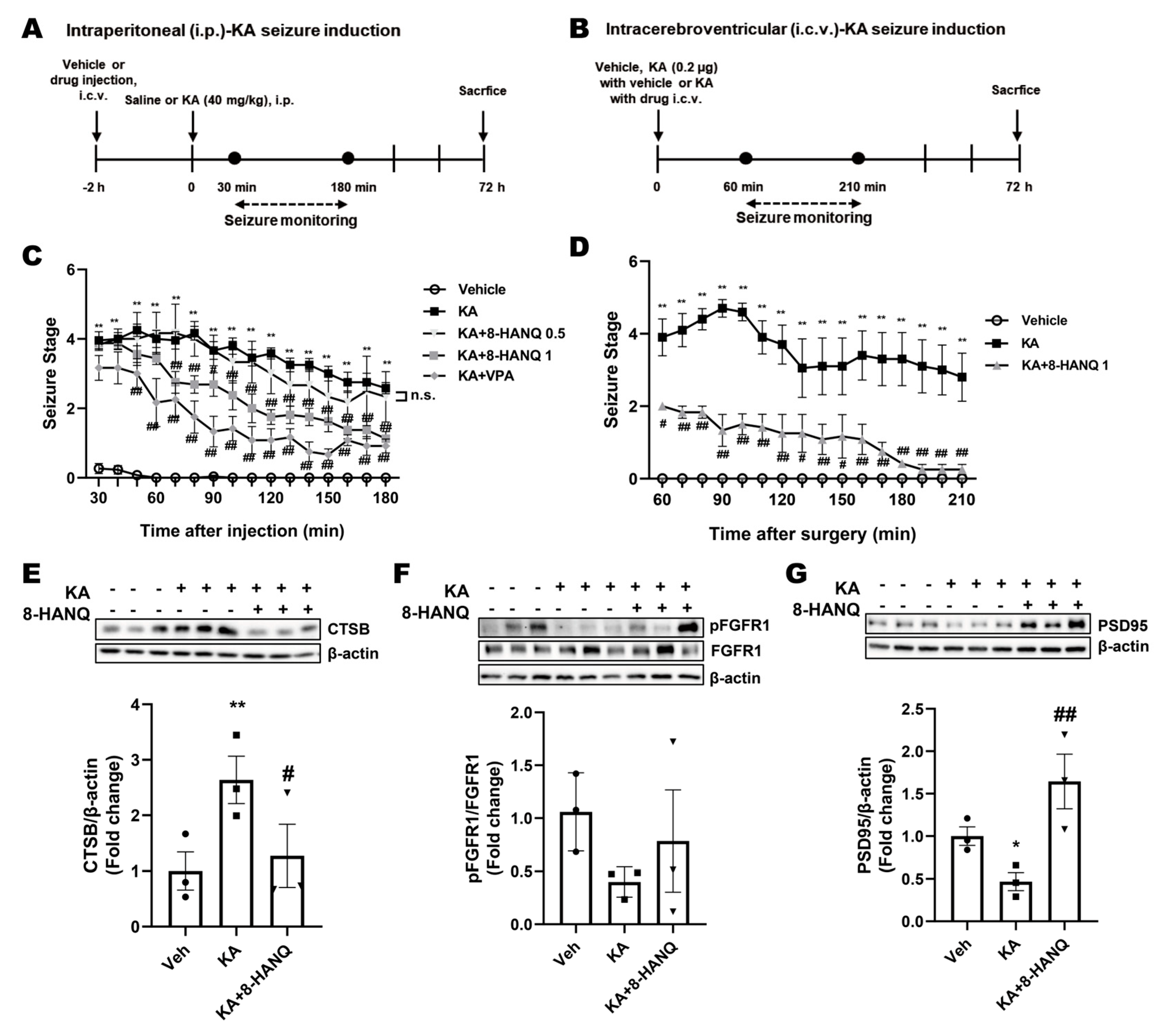 Pharmaceutics 17 01415 g006