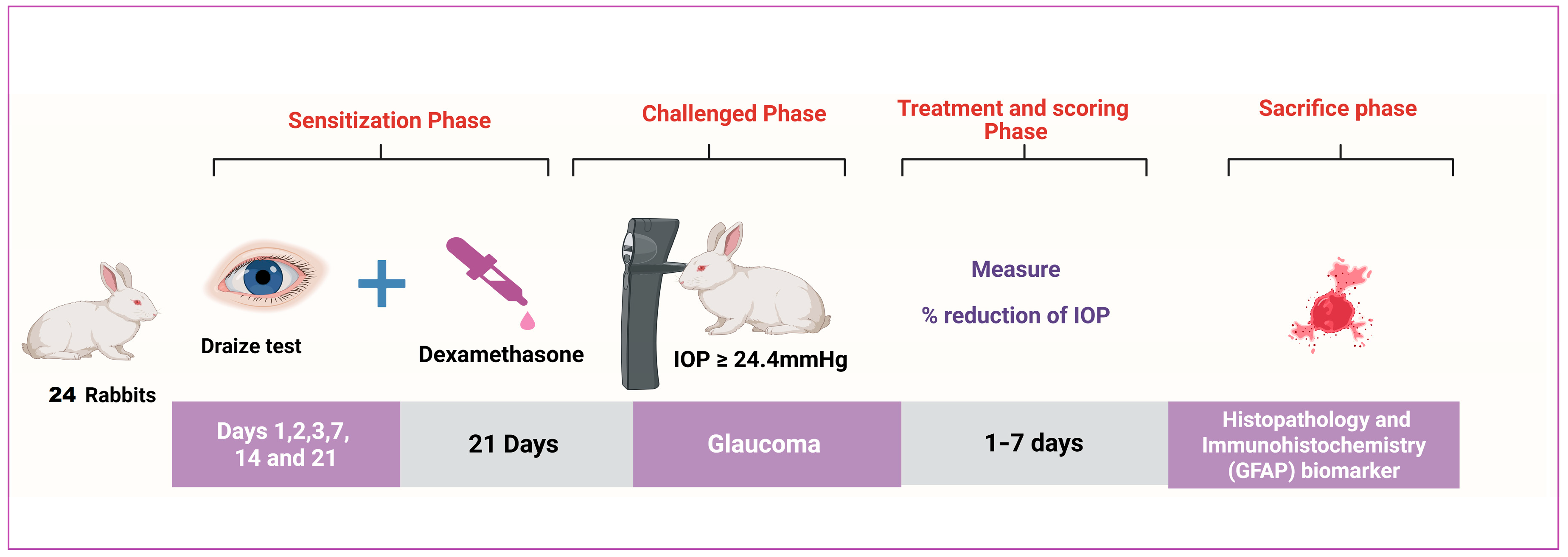 Pharmaceutics 17 01418 g001