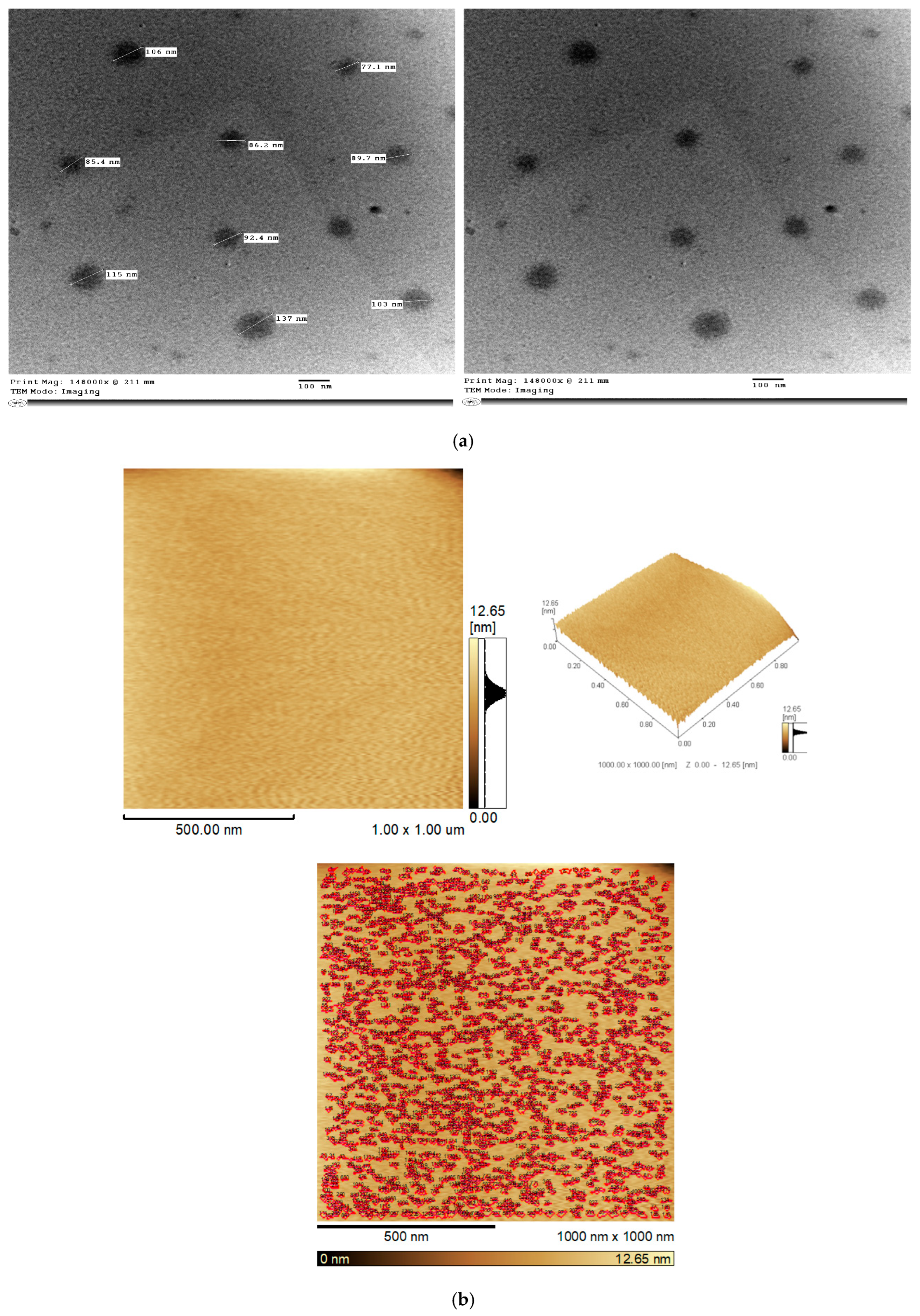 Pharmaceutics 17 01418 g003
