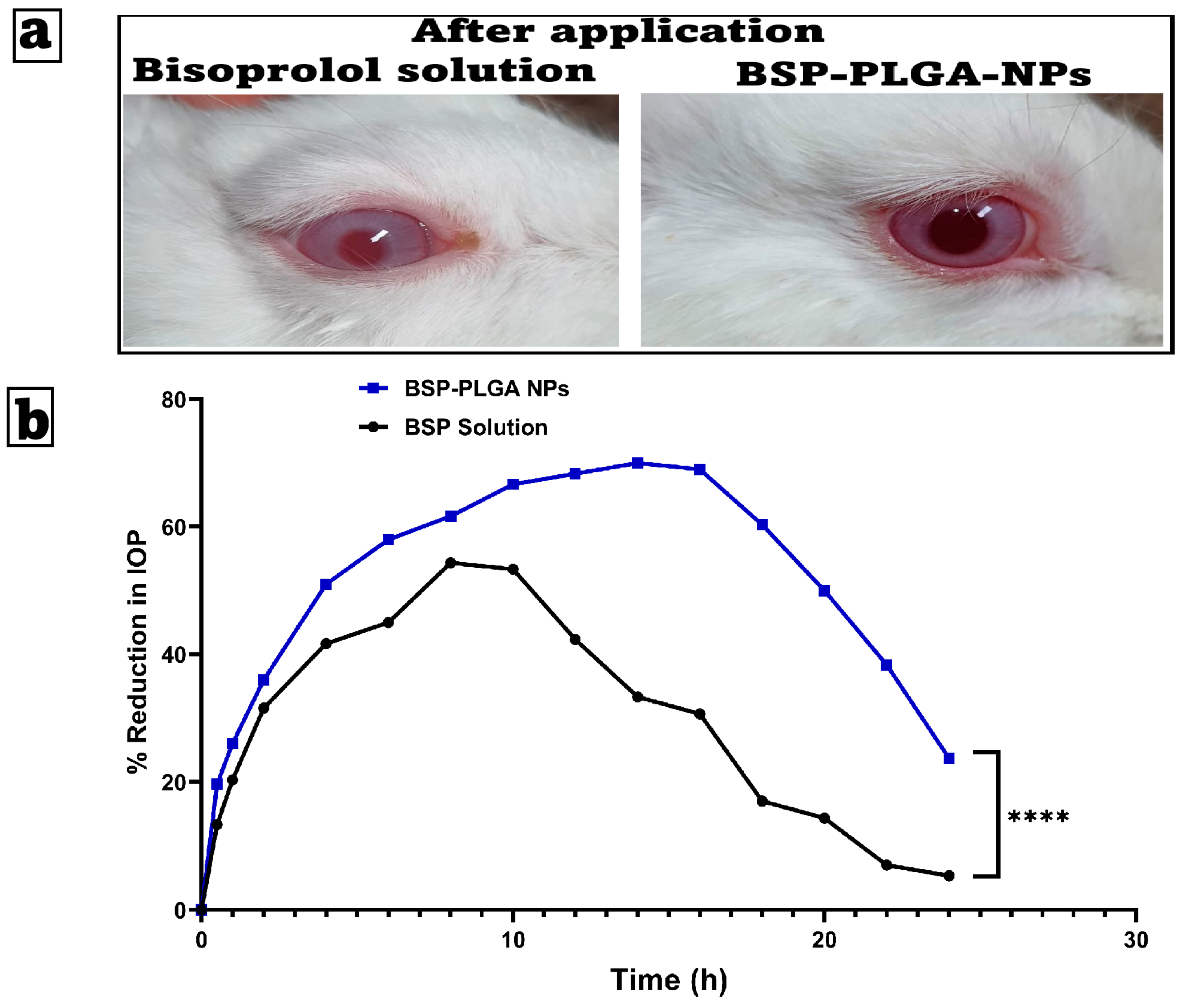 Pharmaceutics 17 01418 g006