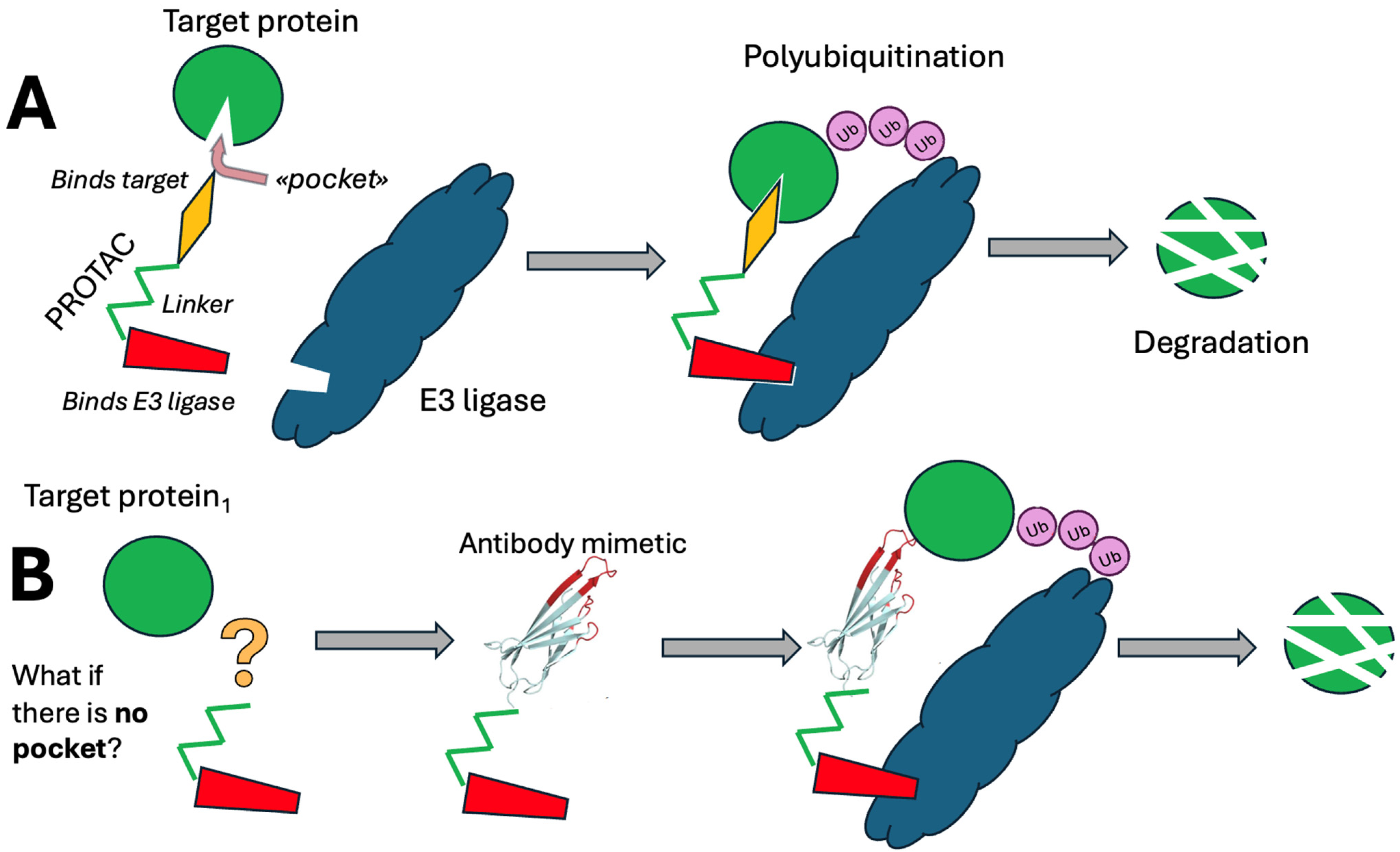 Pharmaceutics 17 01420 g001 Pharmaceutics 17 01420 g001