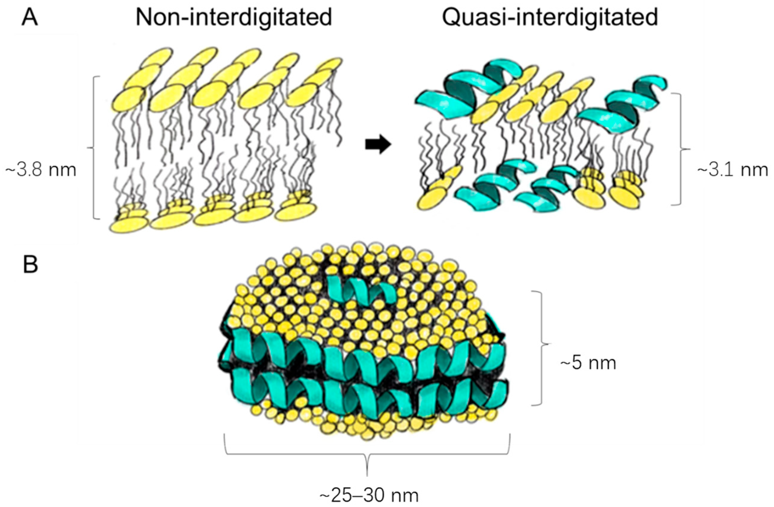 Pharmaceutics 17 01424 g003
