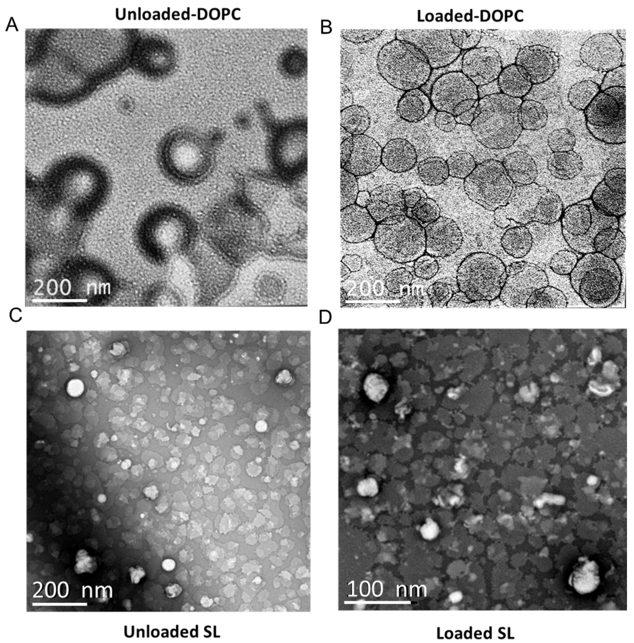 Pharmaceutics 17 01424 g005