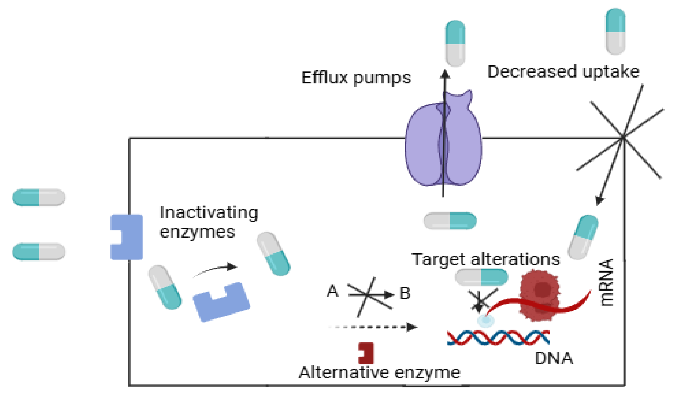 Pharmaceutics 17 01426 g002 Pharmaceutics 17 01426 g002