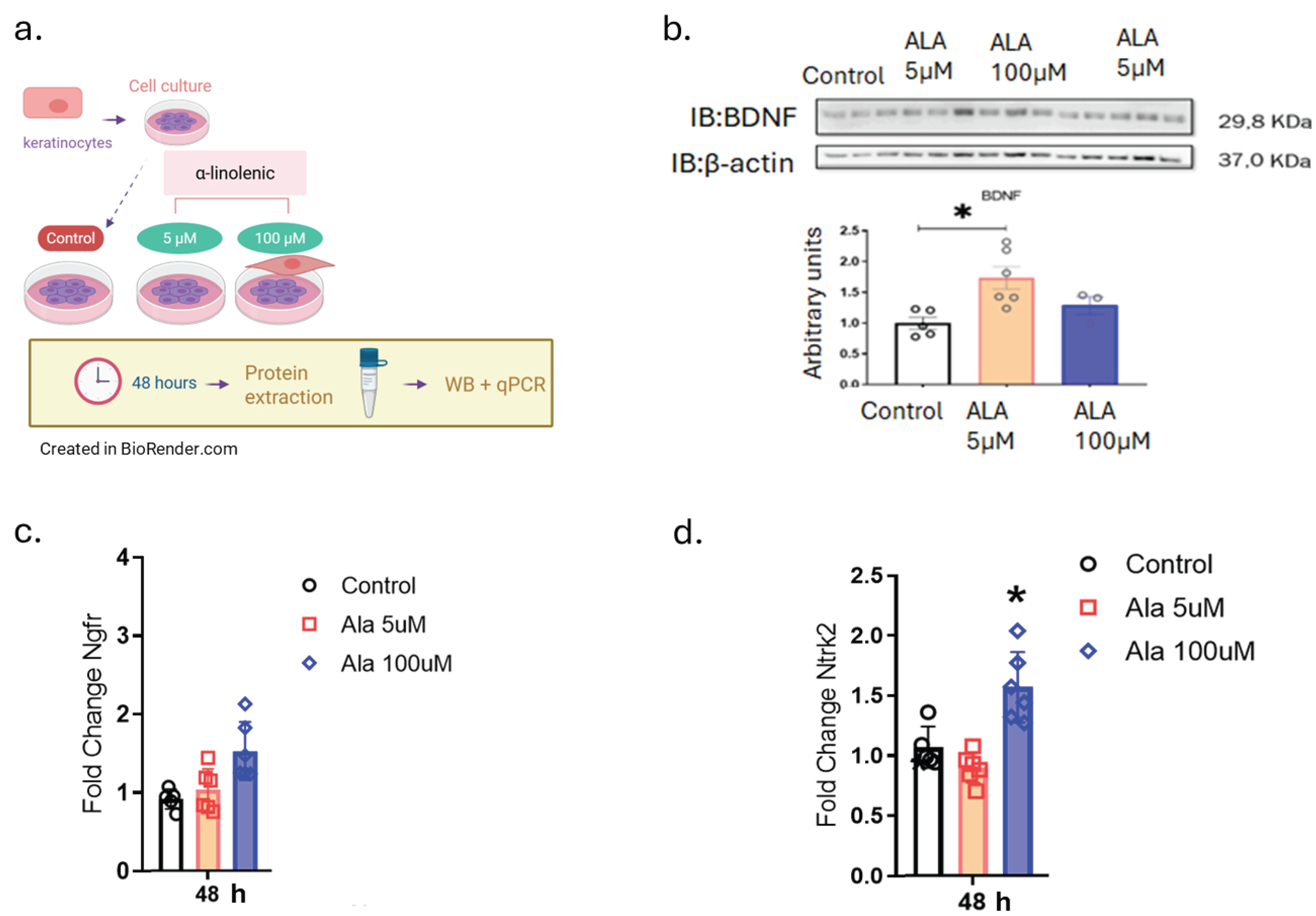 Pharmaceutics 17 01427 g002