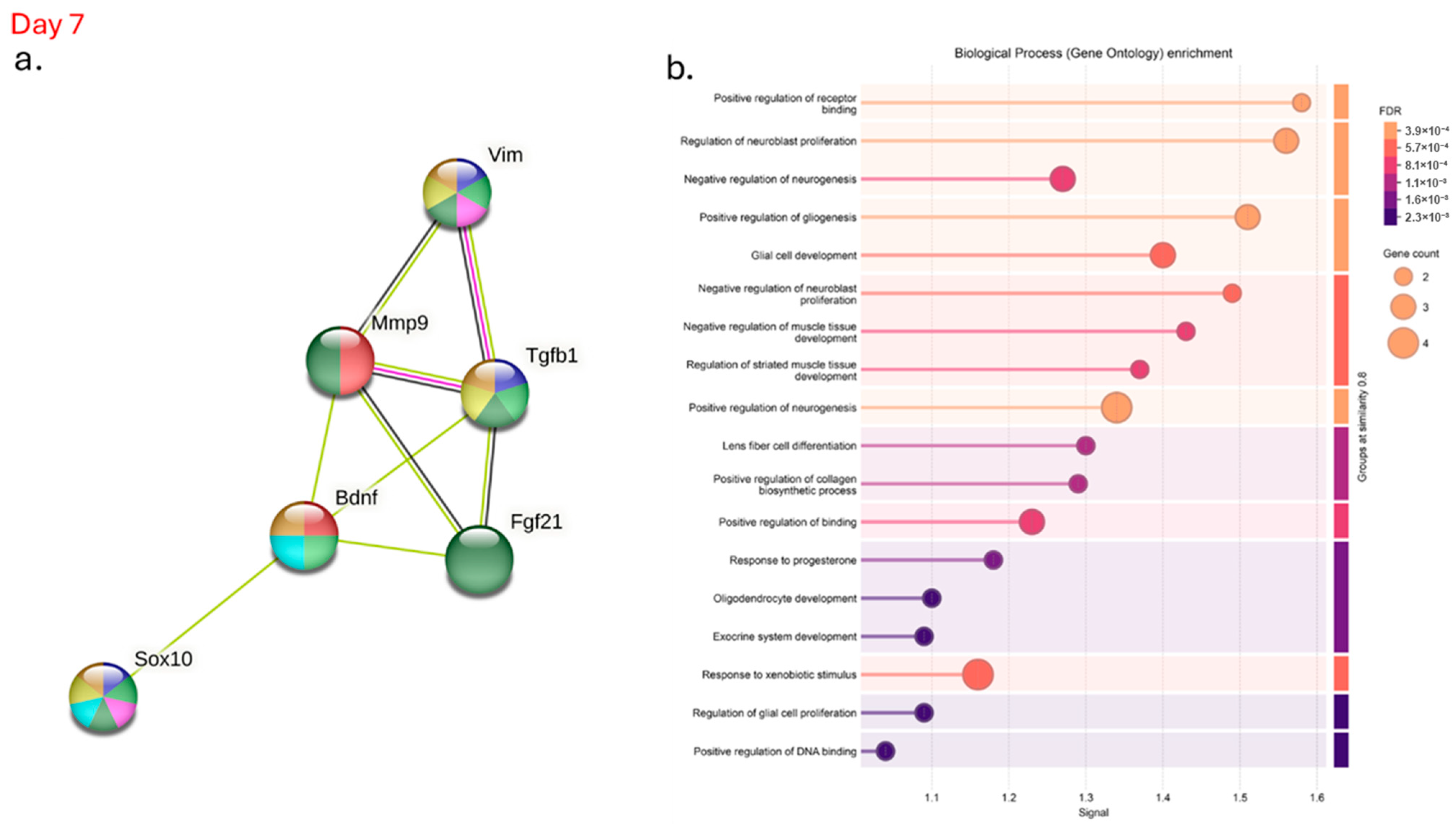 Pharmaceutics 17 01427 g007