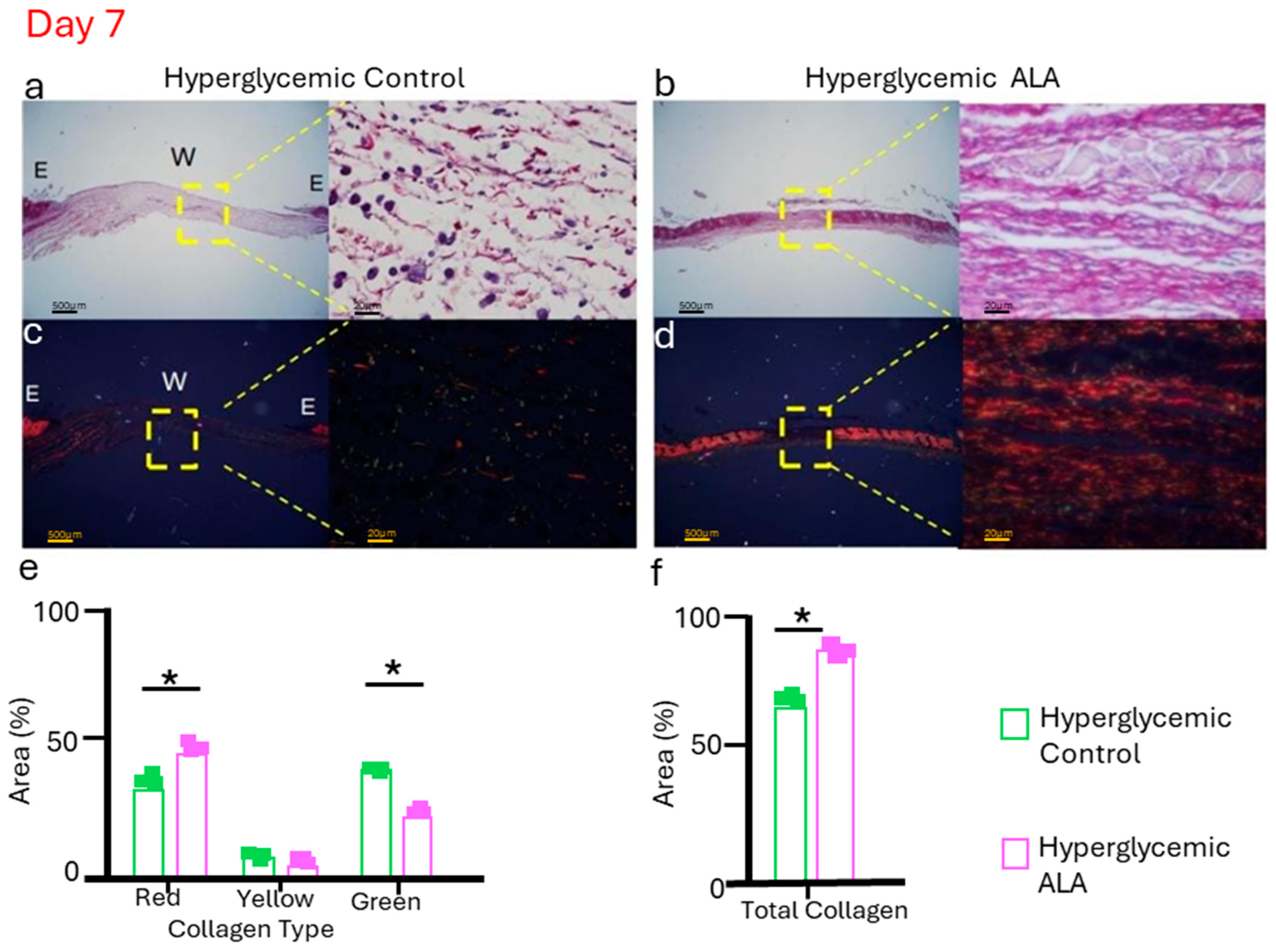 Pharmaceutics 17 01427 g009