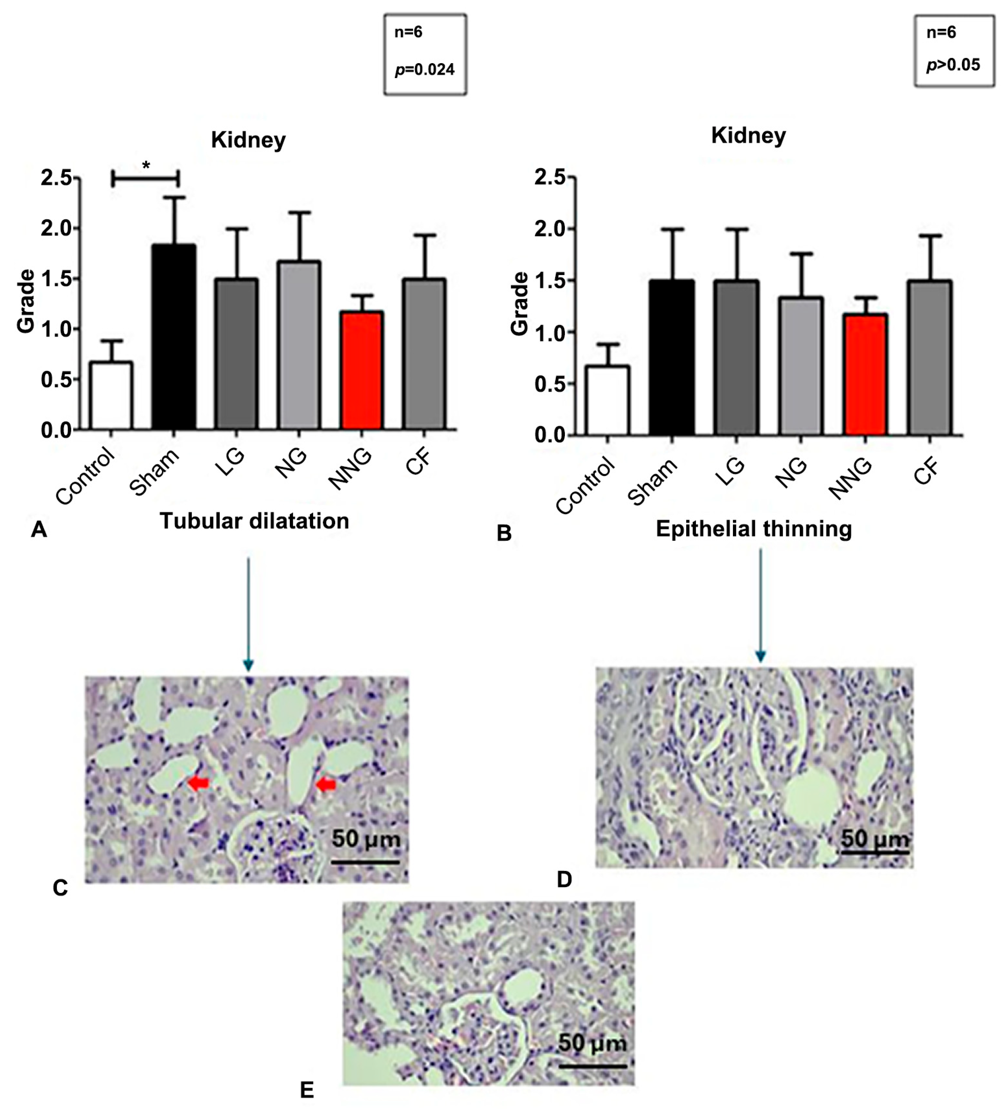 Pharmaceutics 17 01434 g006