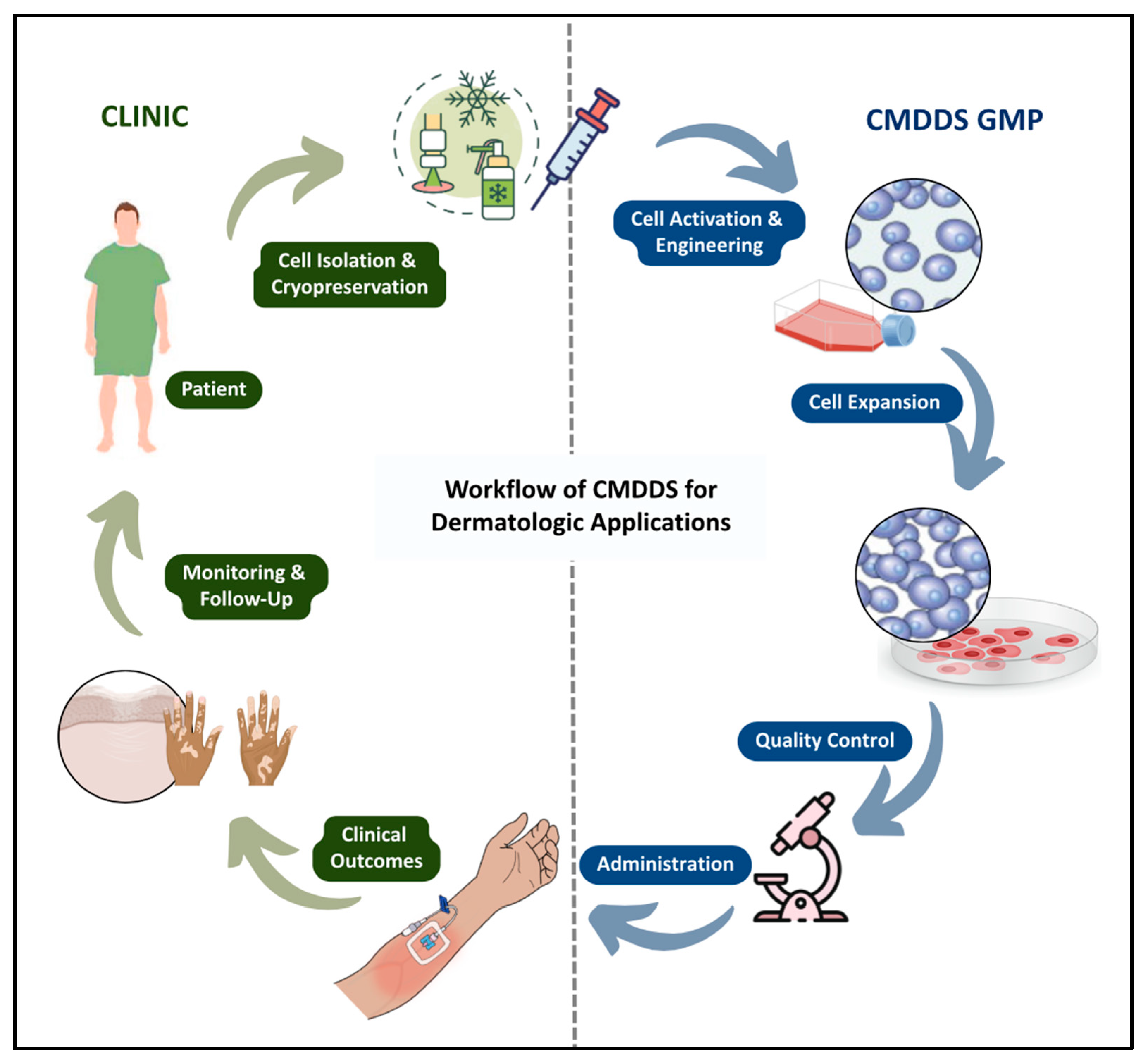 Pharmaceutics 17 01438 g002 Pharmaceutics 17 01438 g002