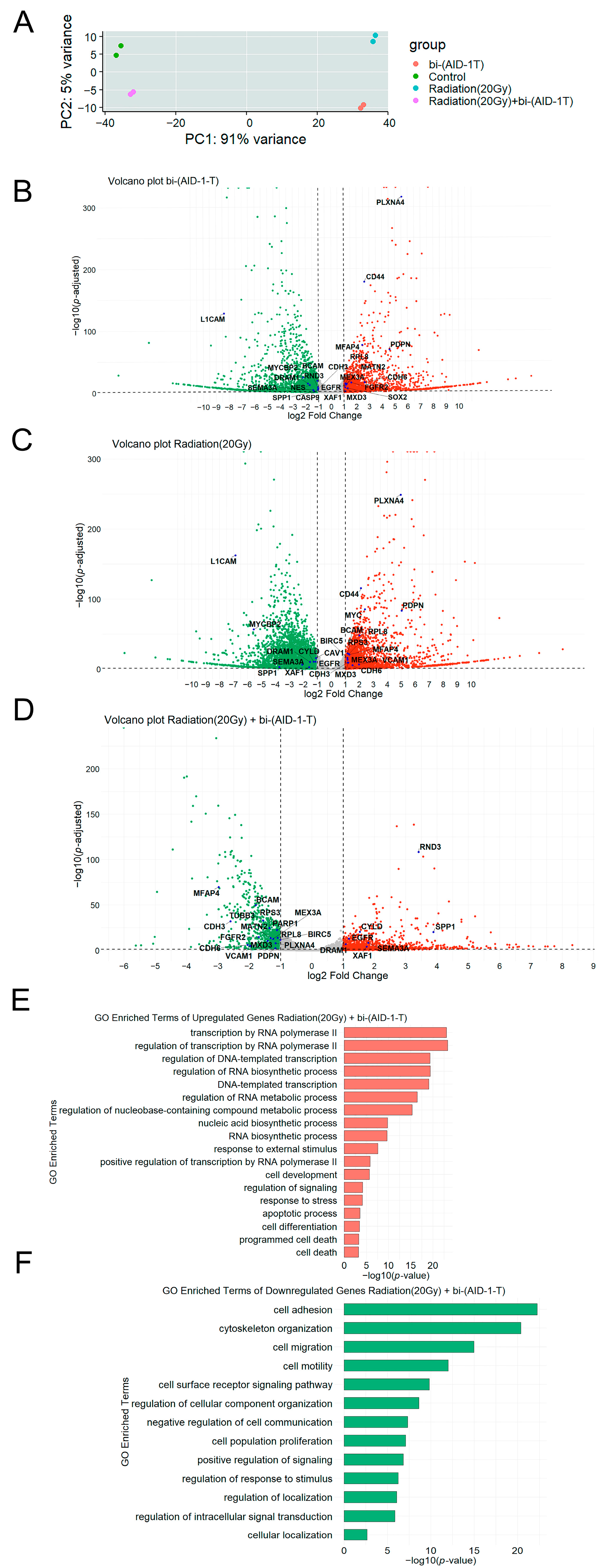 Pharmaceutics 17 01442 g002 Pharmaceutics 17 01442 g002