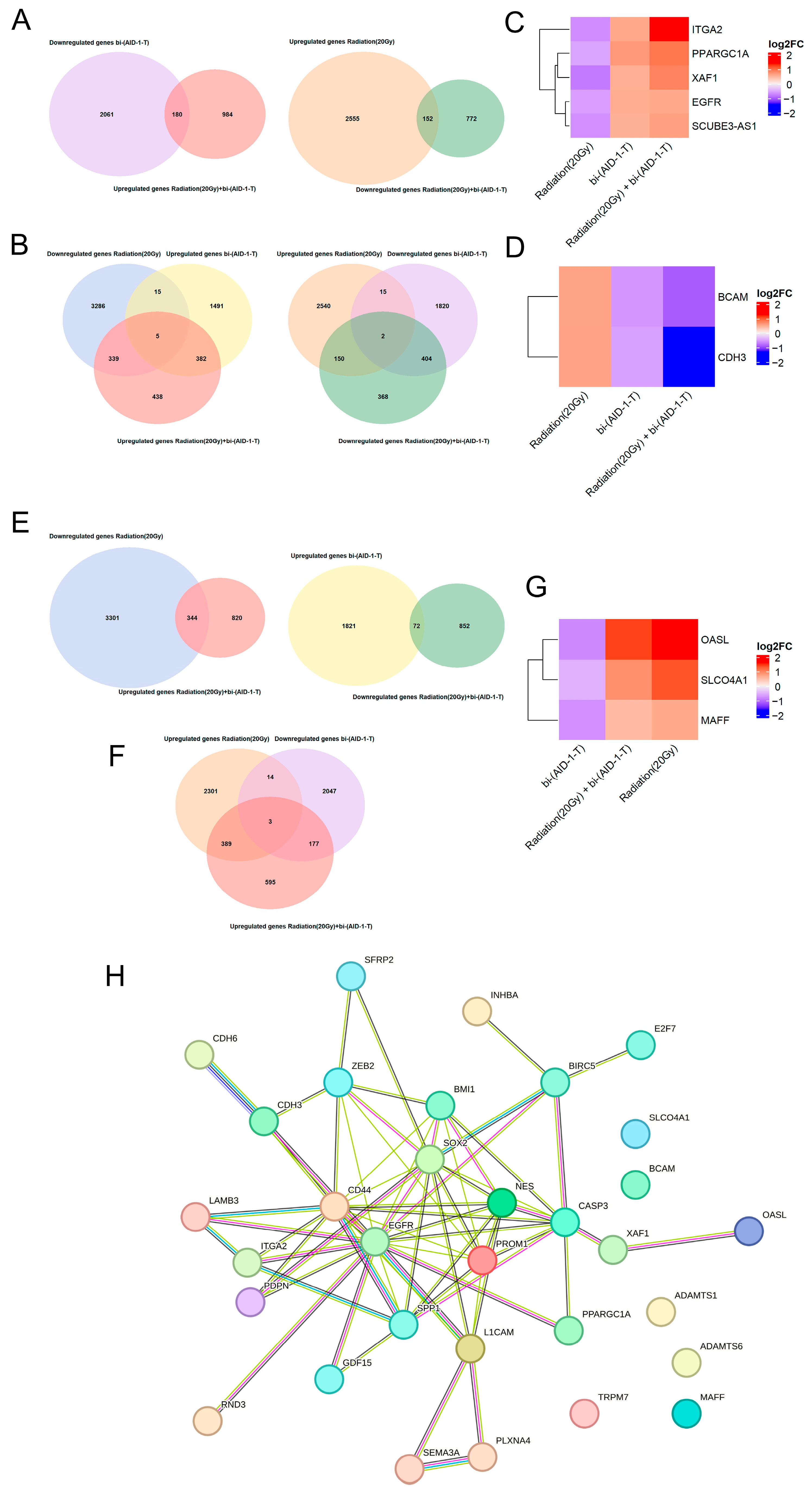 Pharmaceutics 17 01442 g003 Pharmaceutics 17 01442 g003
