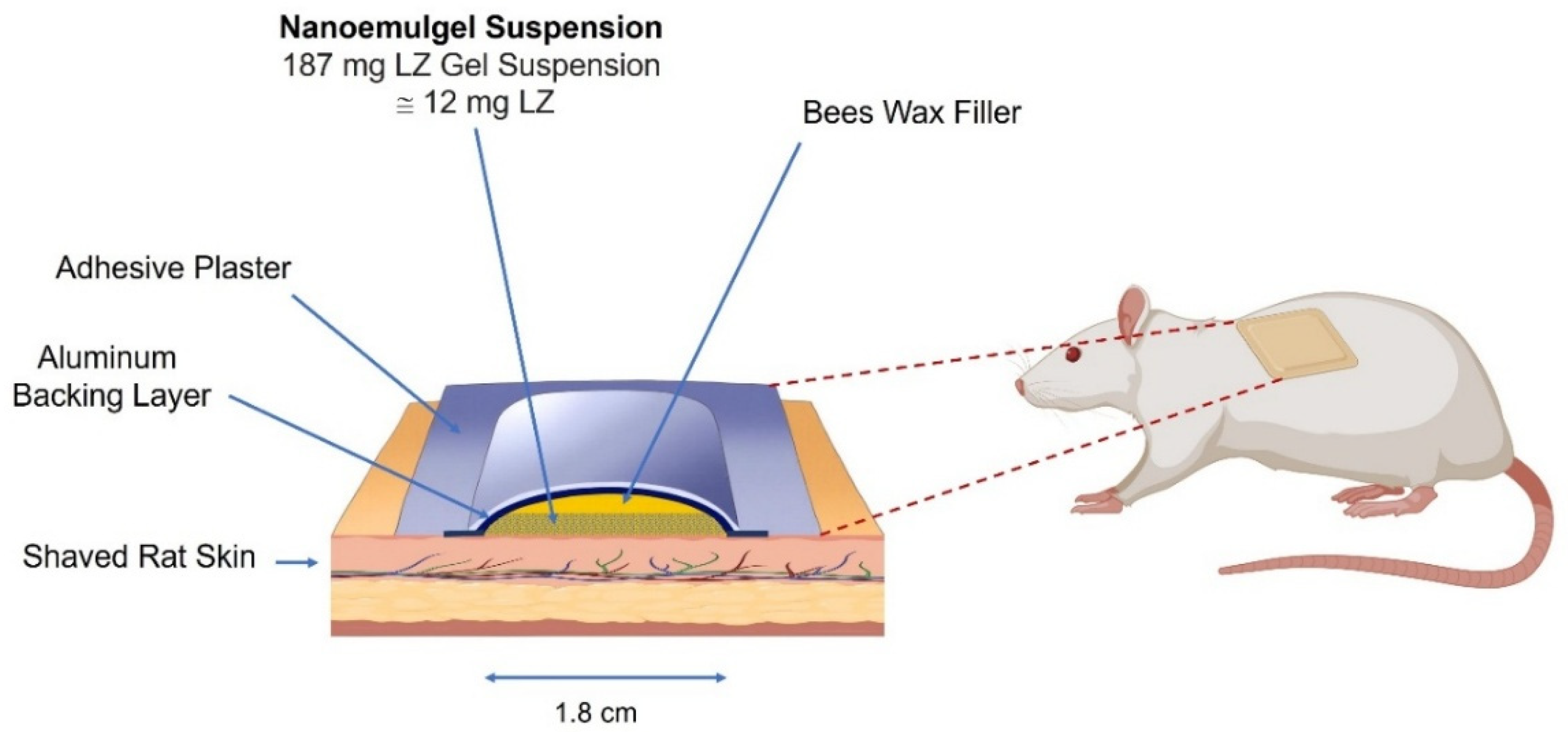 Pharmaceutics 17 01444 g002