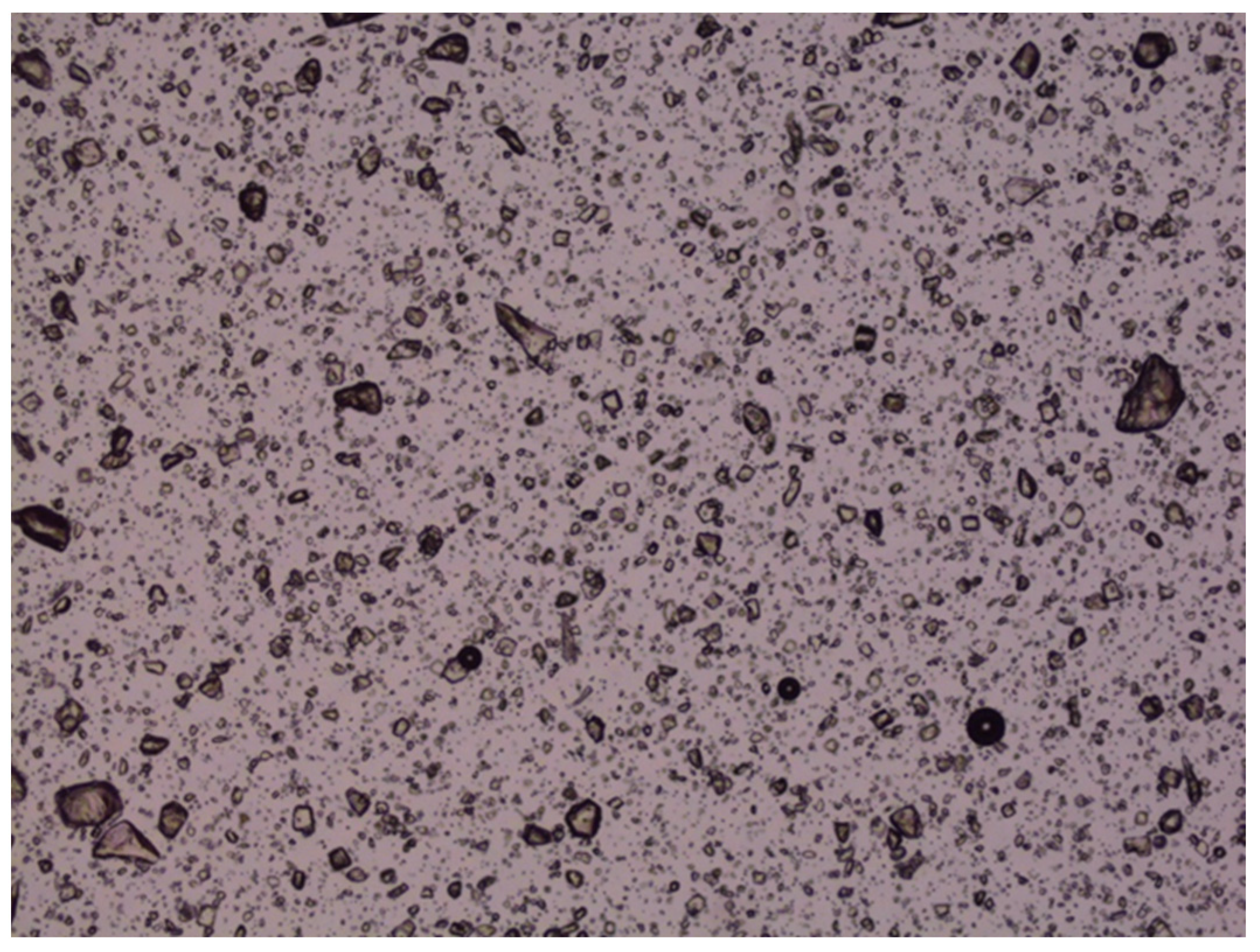 Pharmaceutics 17 01444 g013