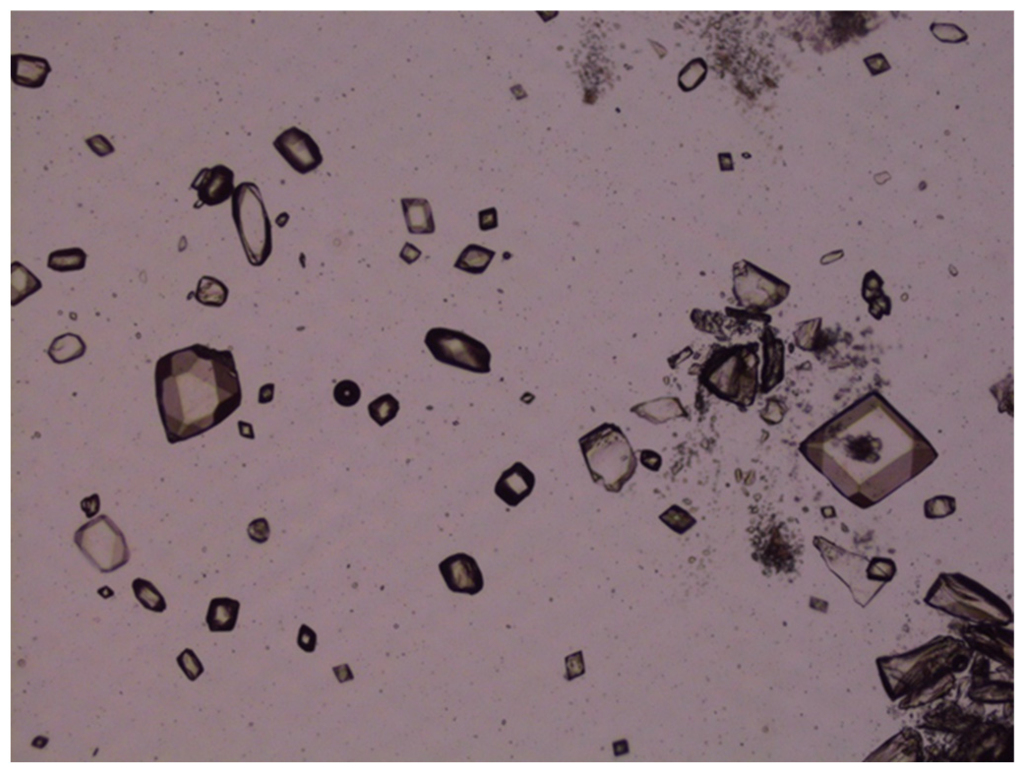 Pharmaceutics 17 01444 g014