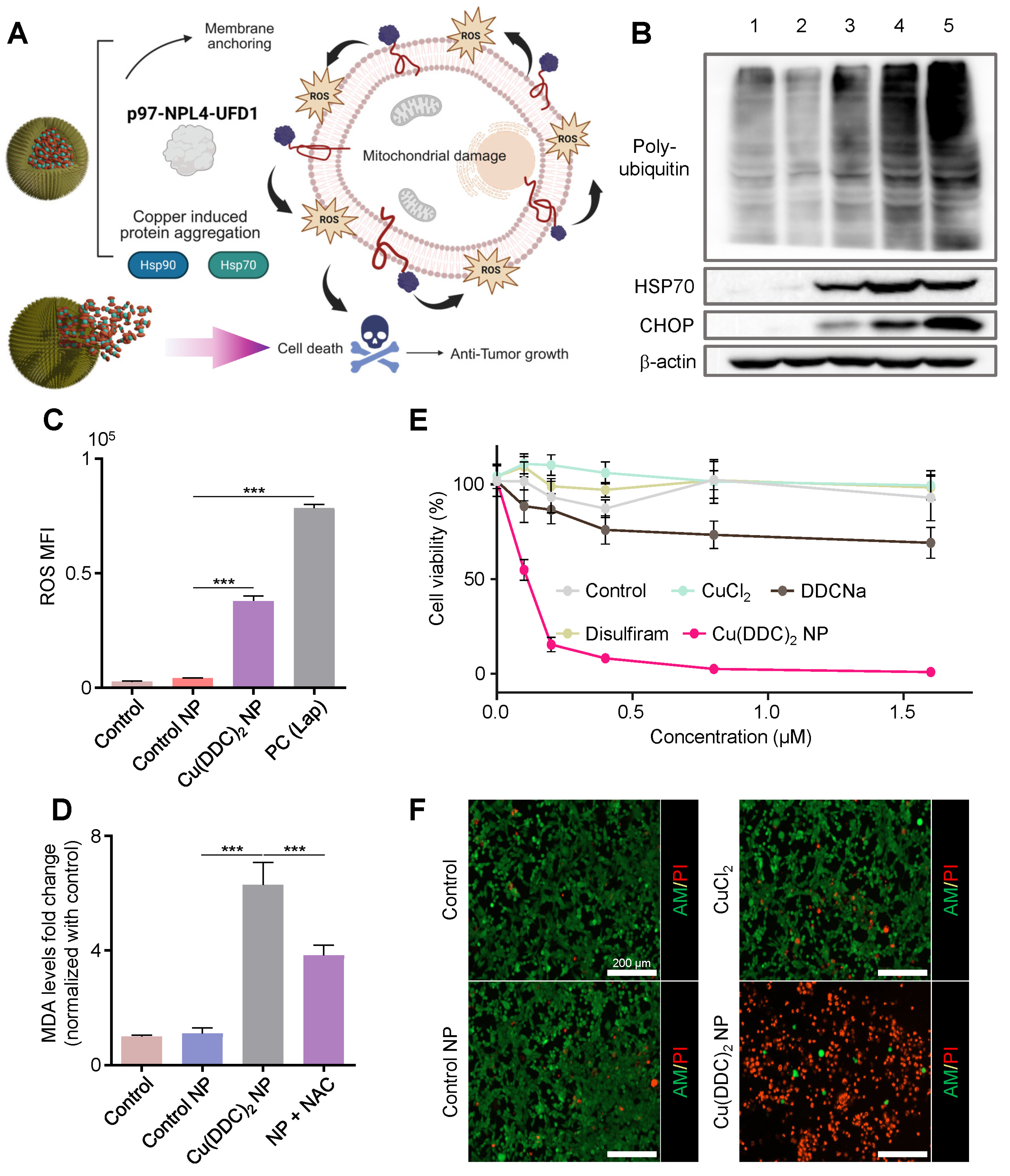 Pharmaceutics 17 01448 g002
