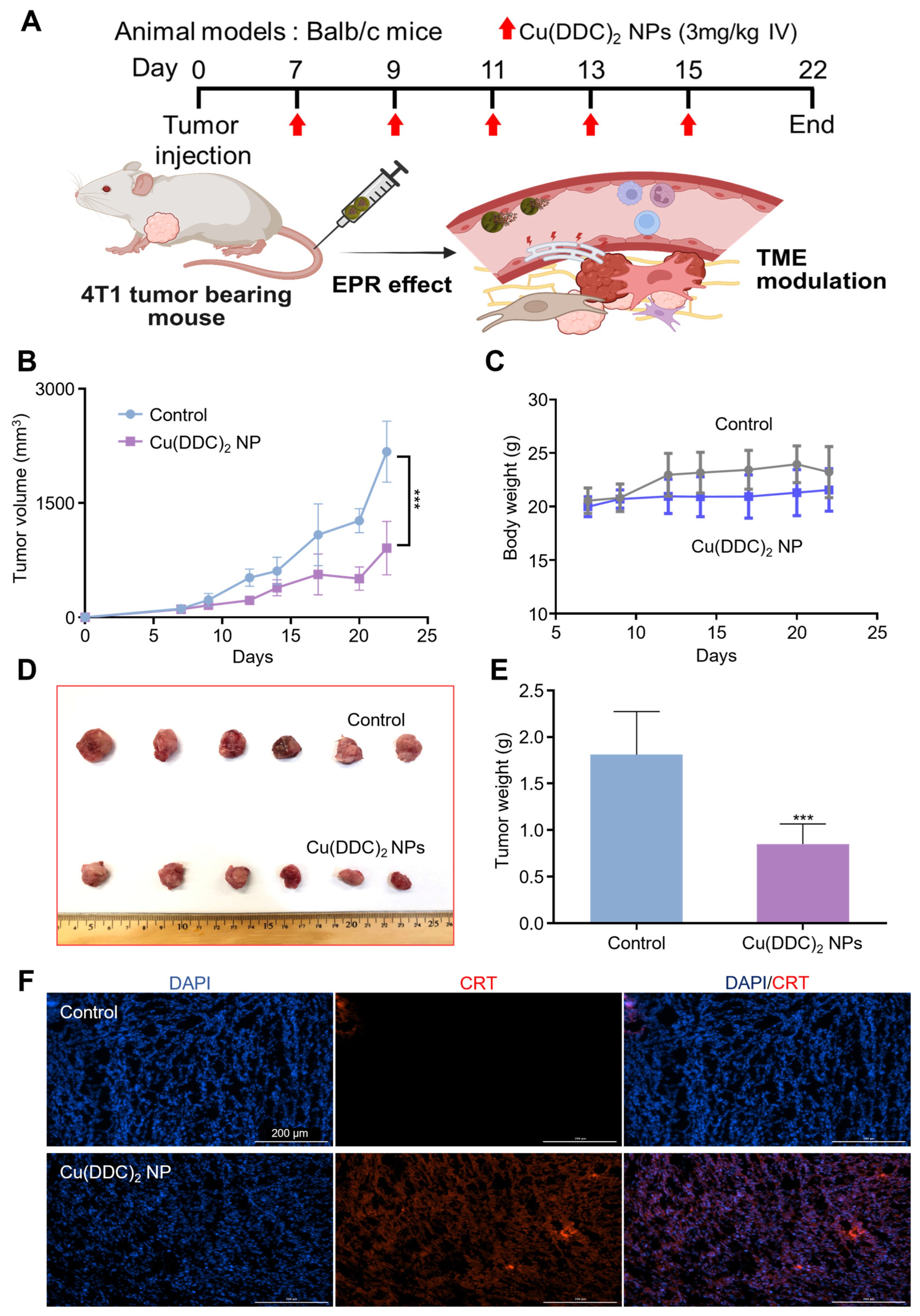 Pharmaceutics 17 01448 g005