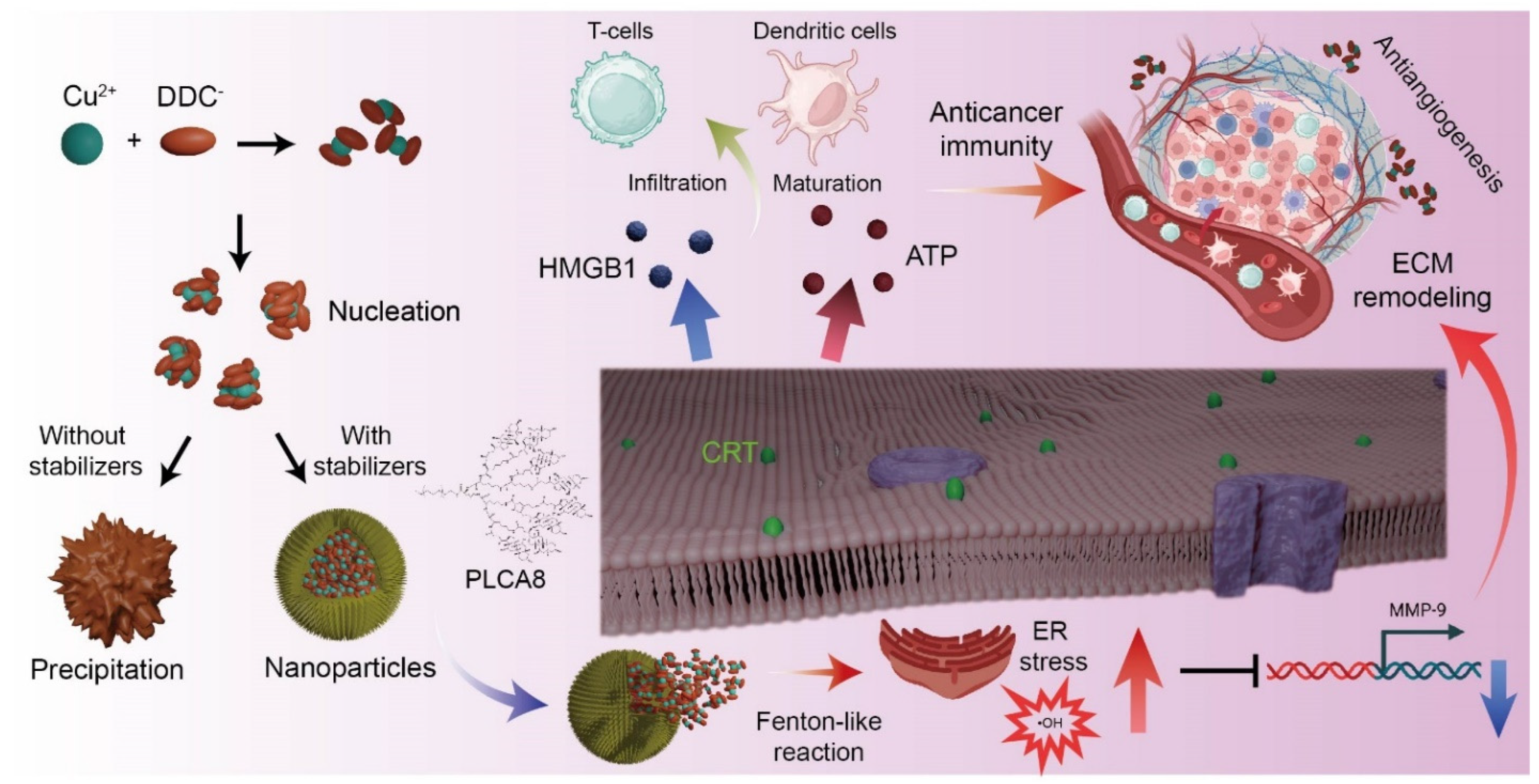 Pharmaceutics 17 01448 g006
