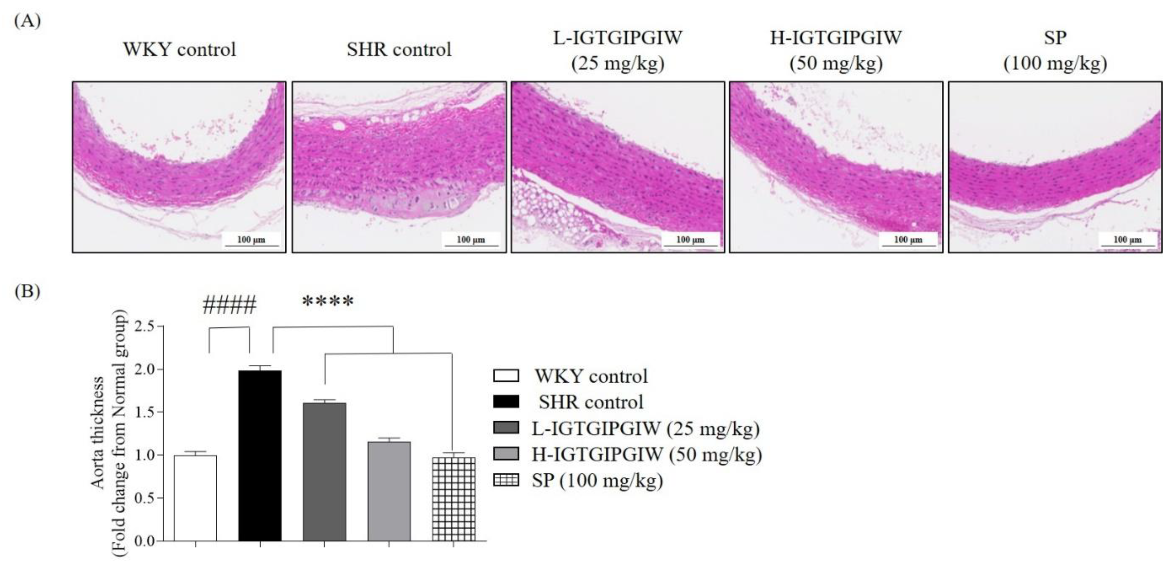 Pharmaceutics 17 01449 g002