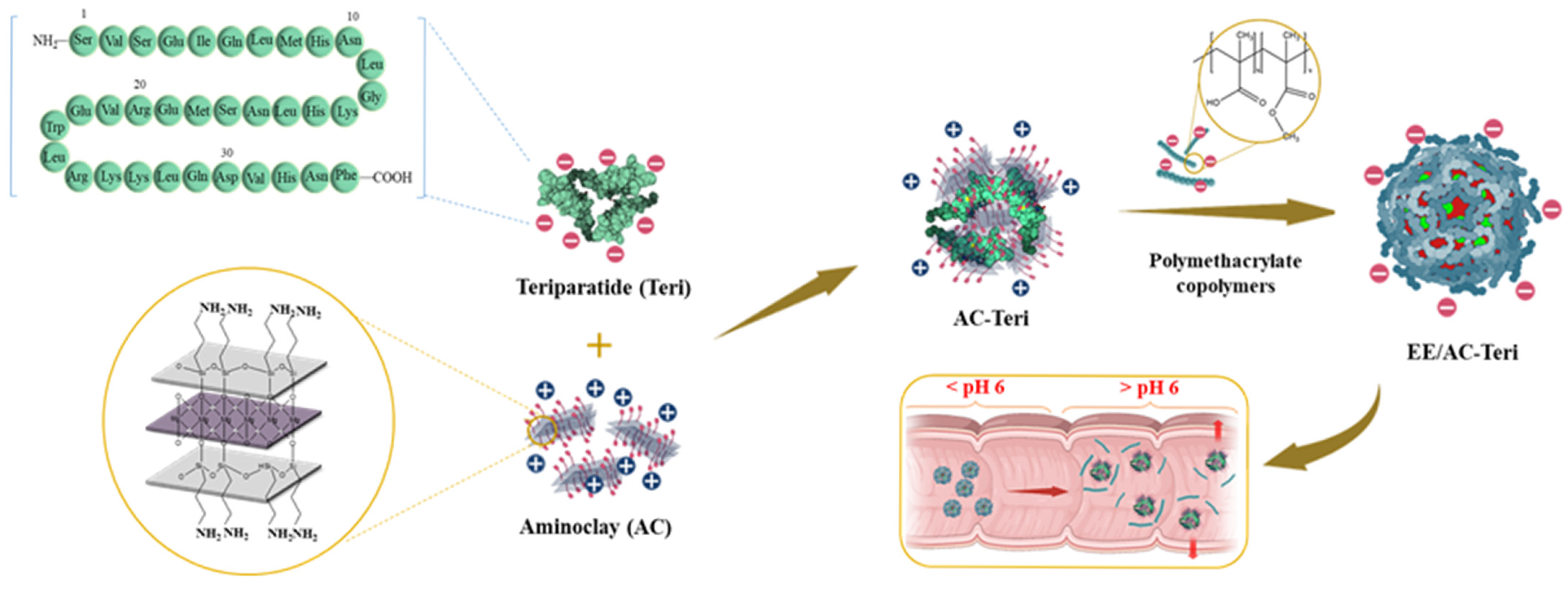 Pharmaceutics 17 01450 g001