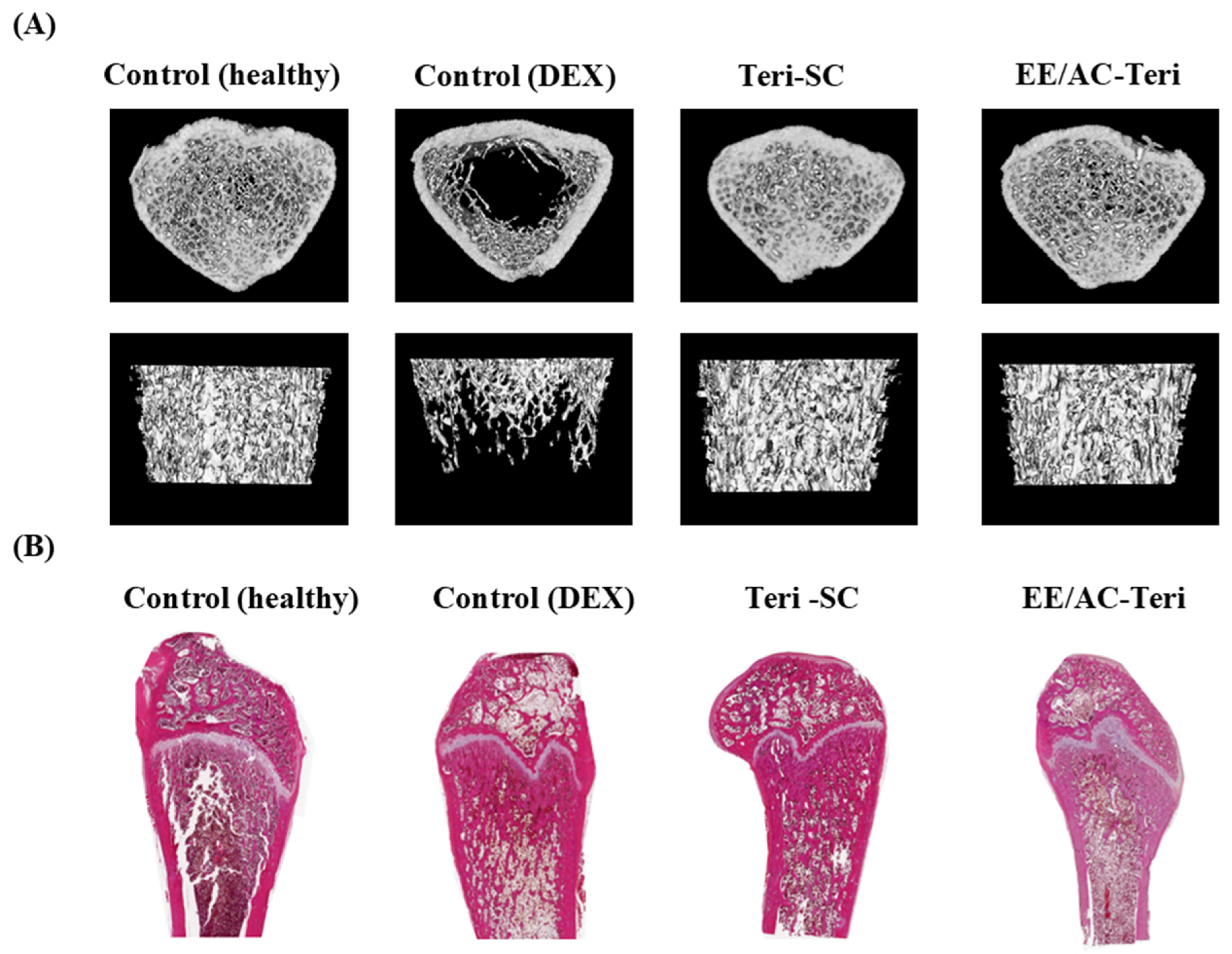 Pharmaceutics 17 01450 g007