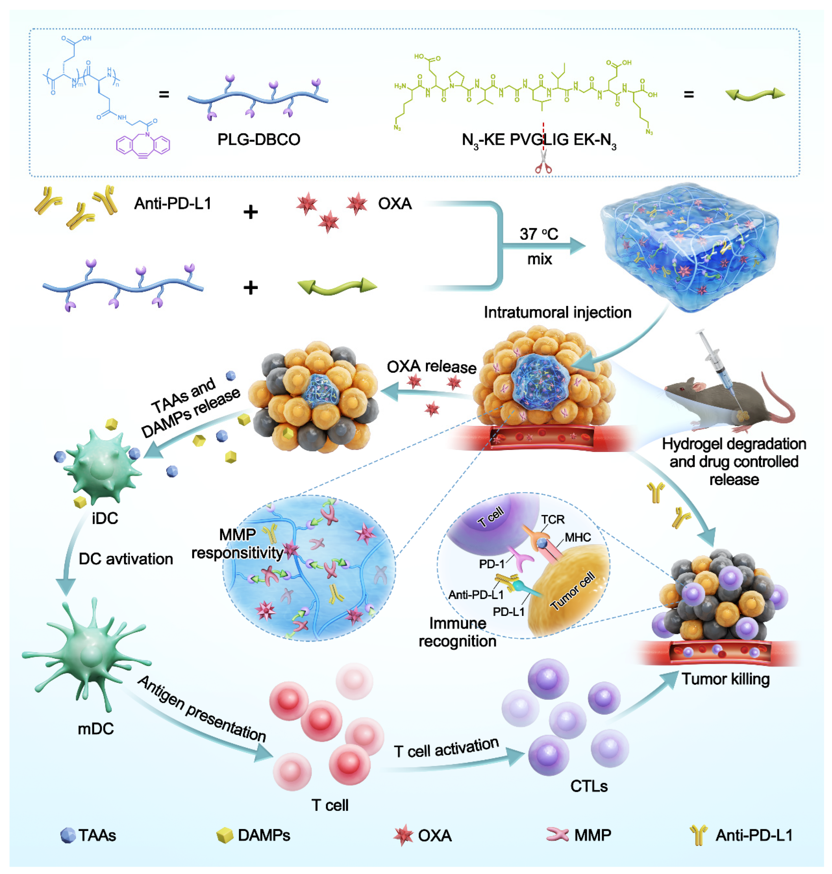 Pharmaceutics 17 01453 g001