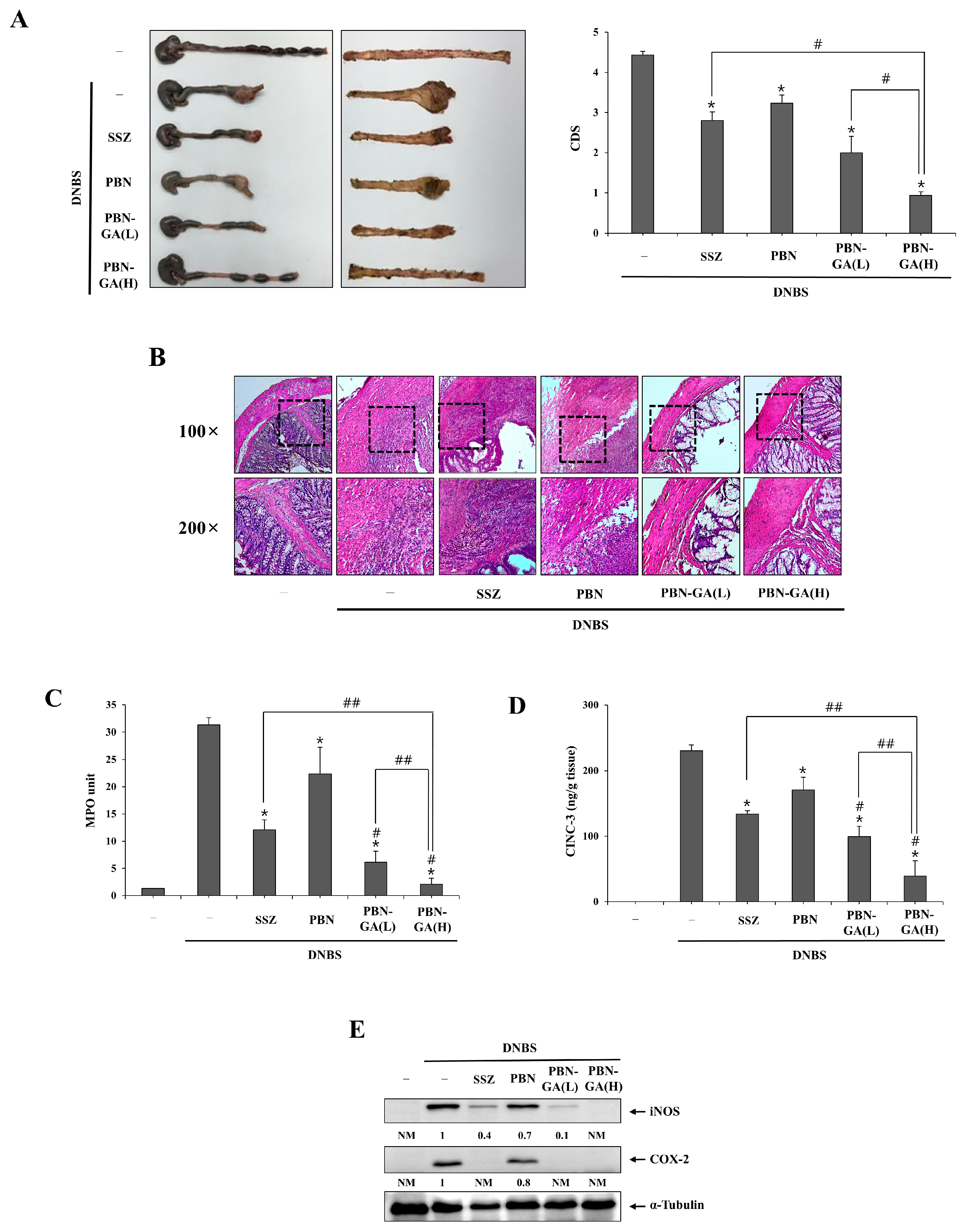Pharmaceutics 17 01454 g003