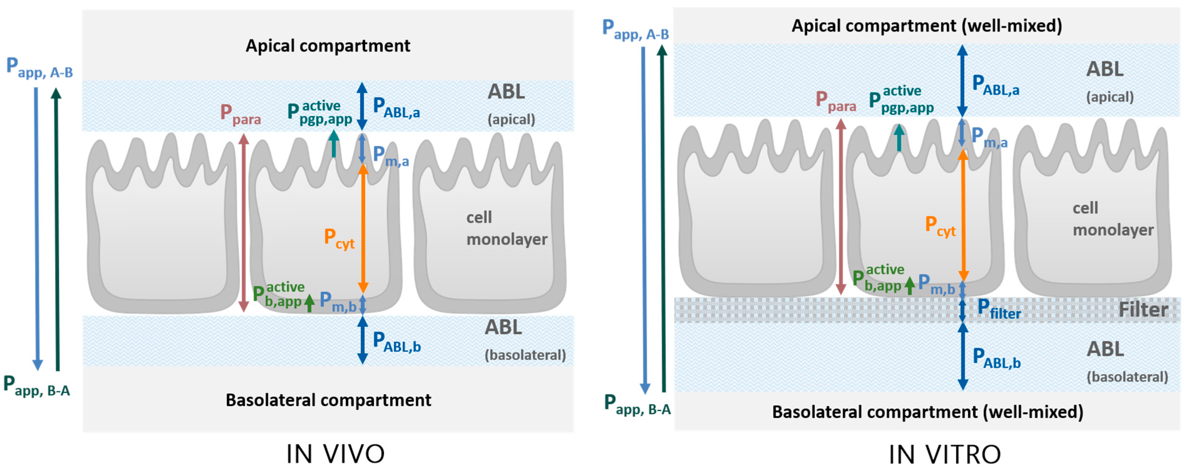 Pharmaceutics 17 01455 g001