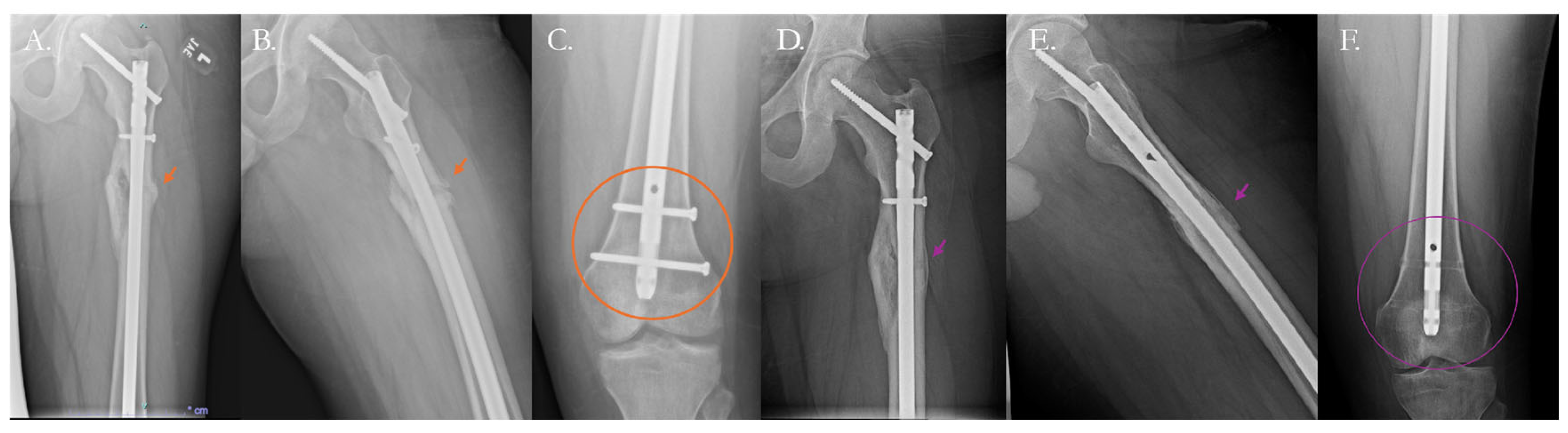 Pharmaceutics 17 01457 g007 Pharmaceutics 17 01457 g007