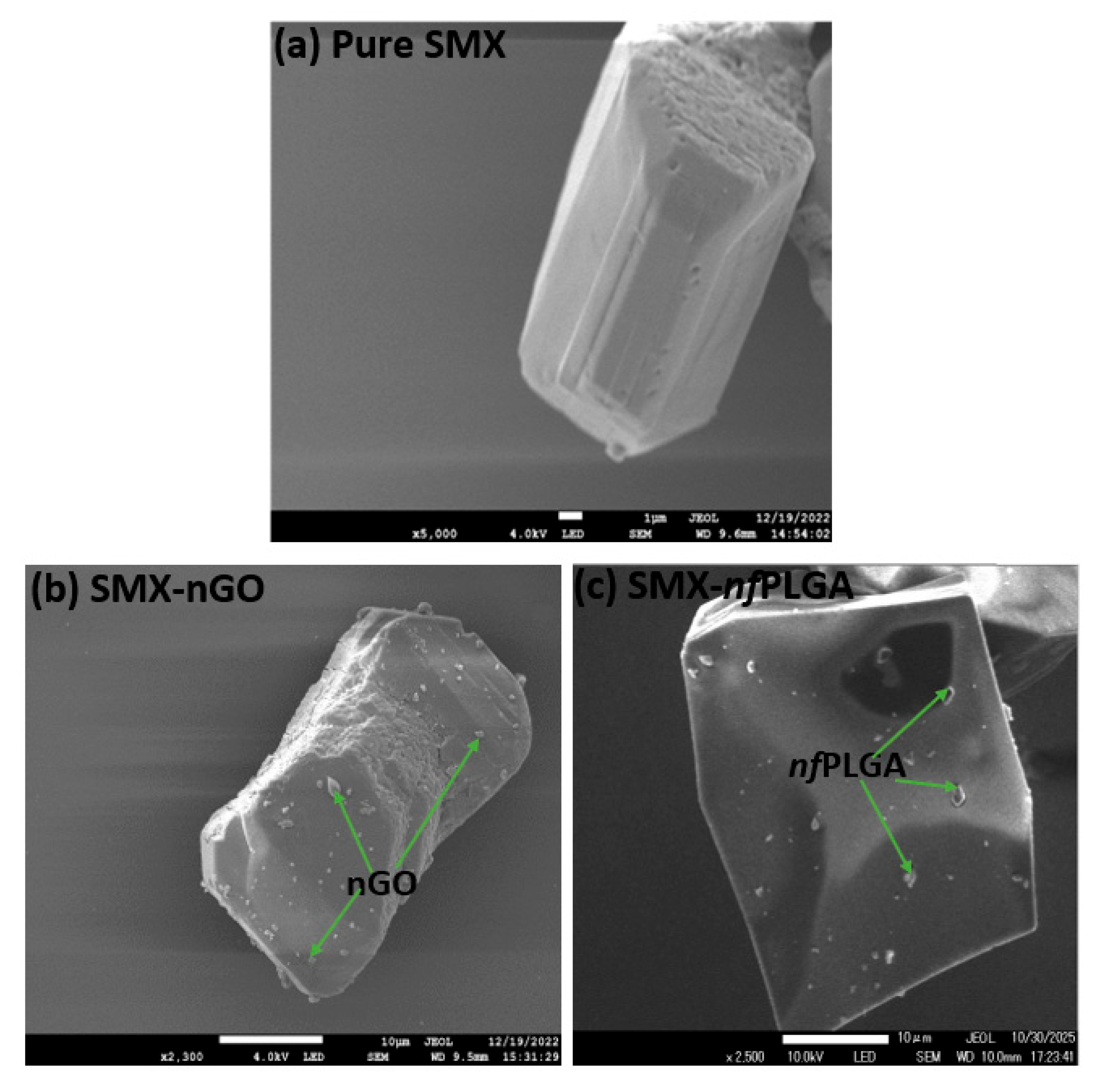 Pharmaceutics 17 01460 g001