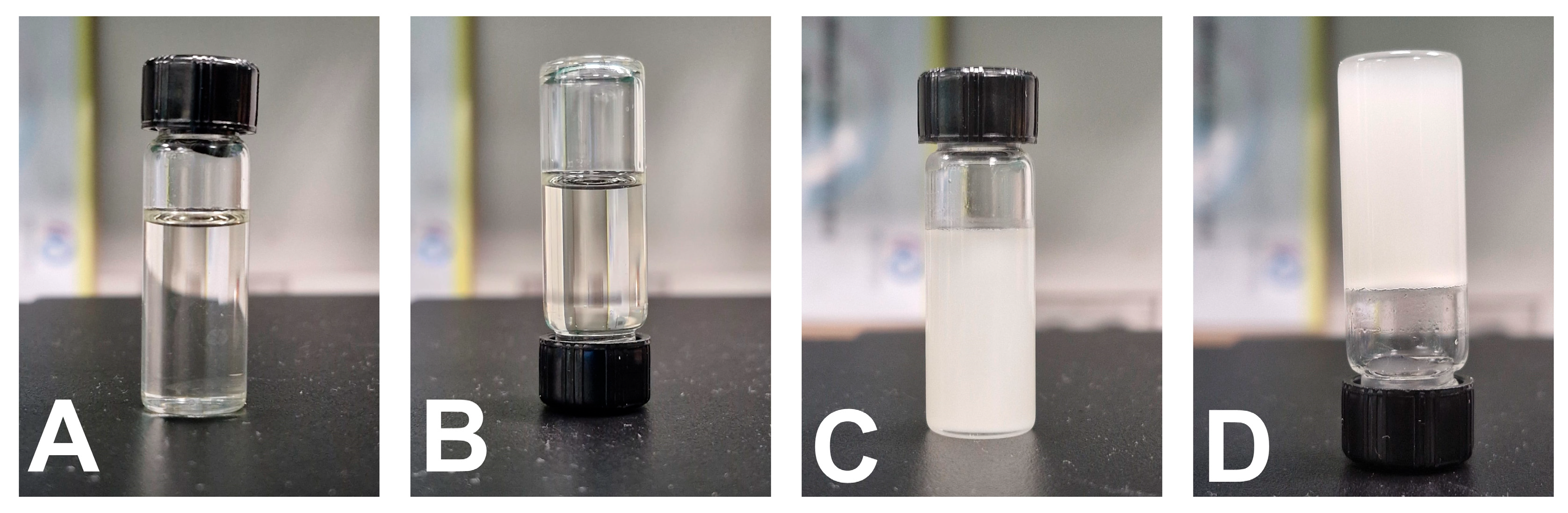 Pharmaceutics 17 01461 g010