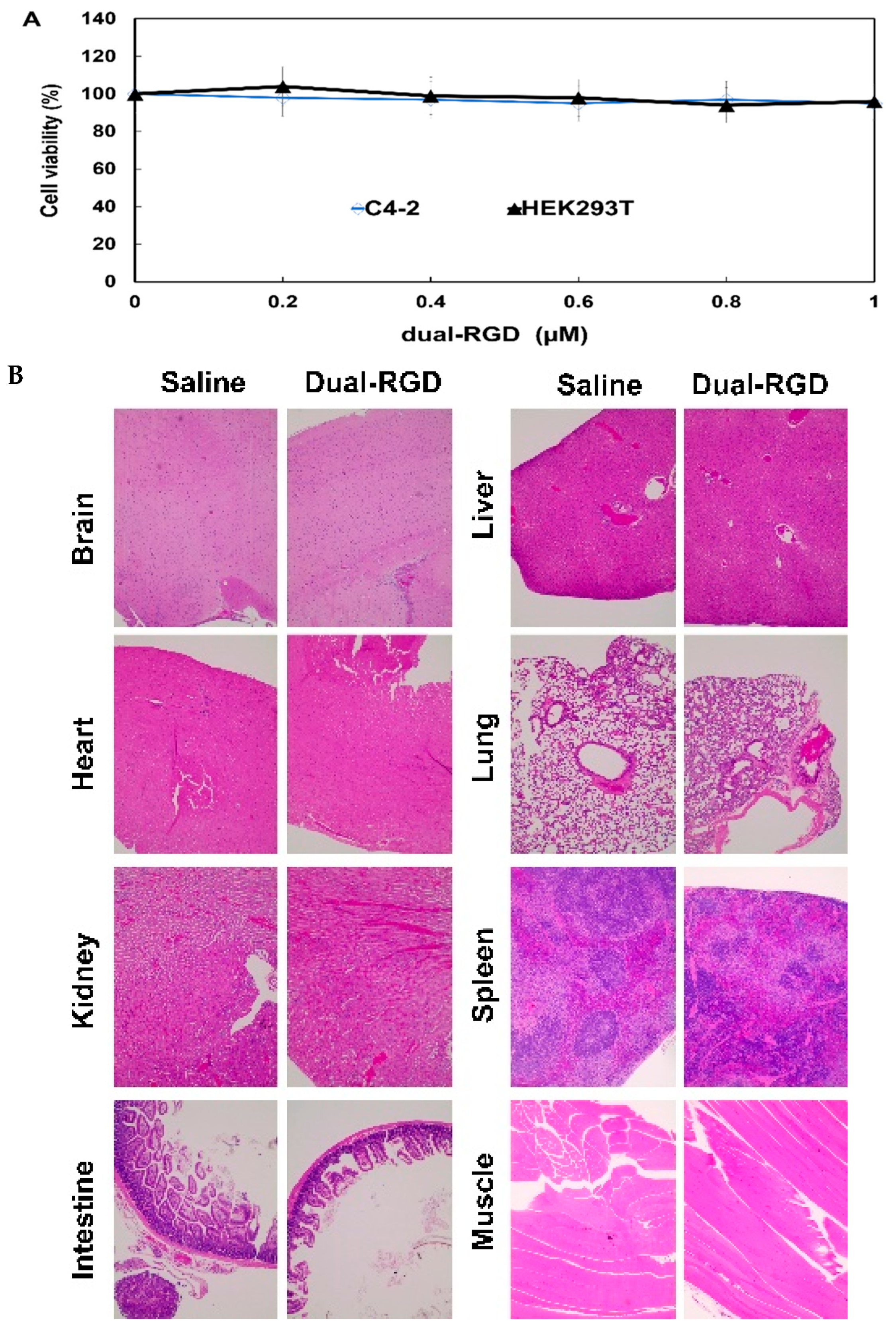 Pharmaceutics 17 01462 g008