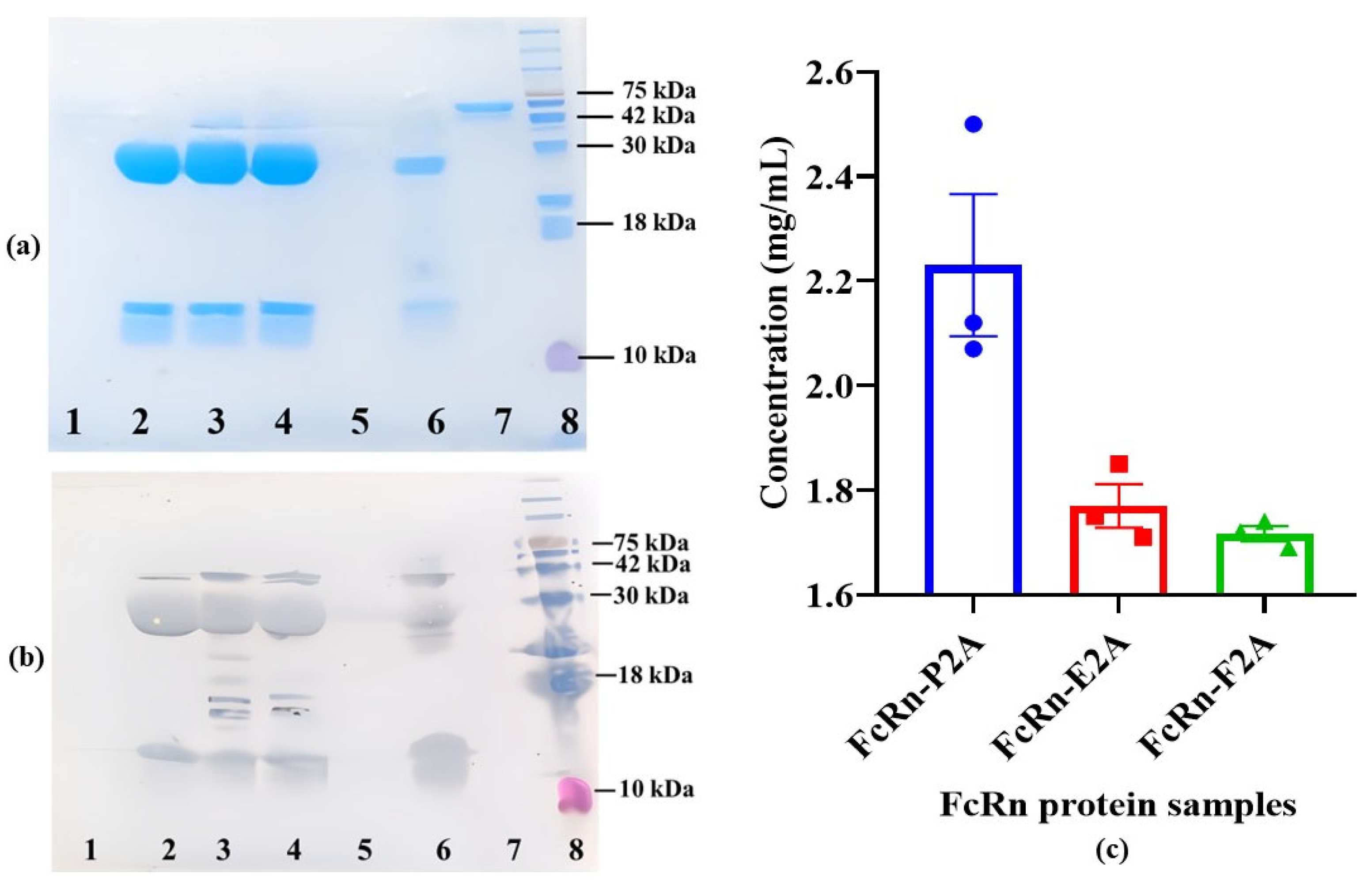 Pharmaceutics 17 01463 g003