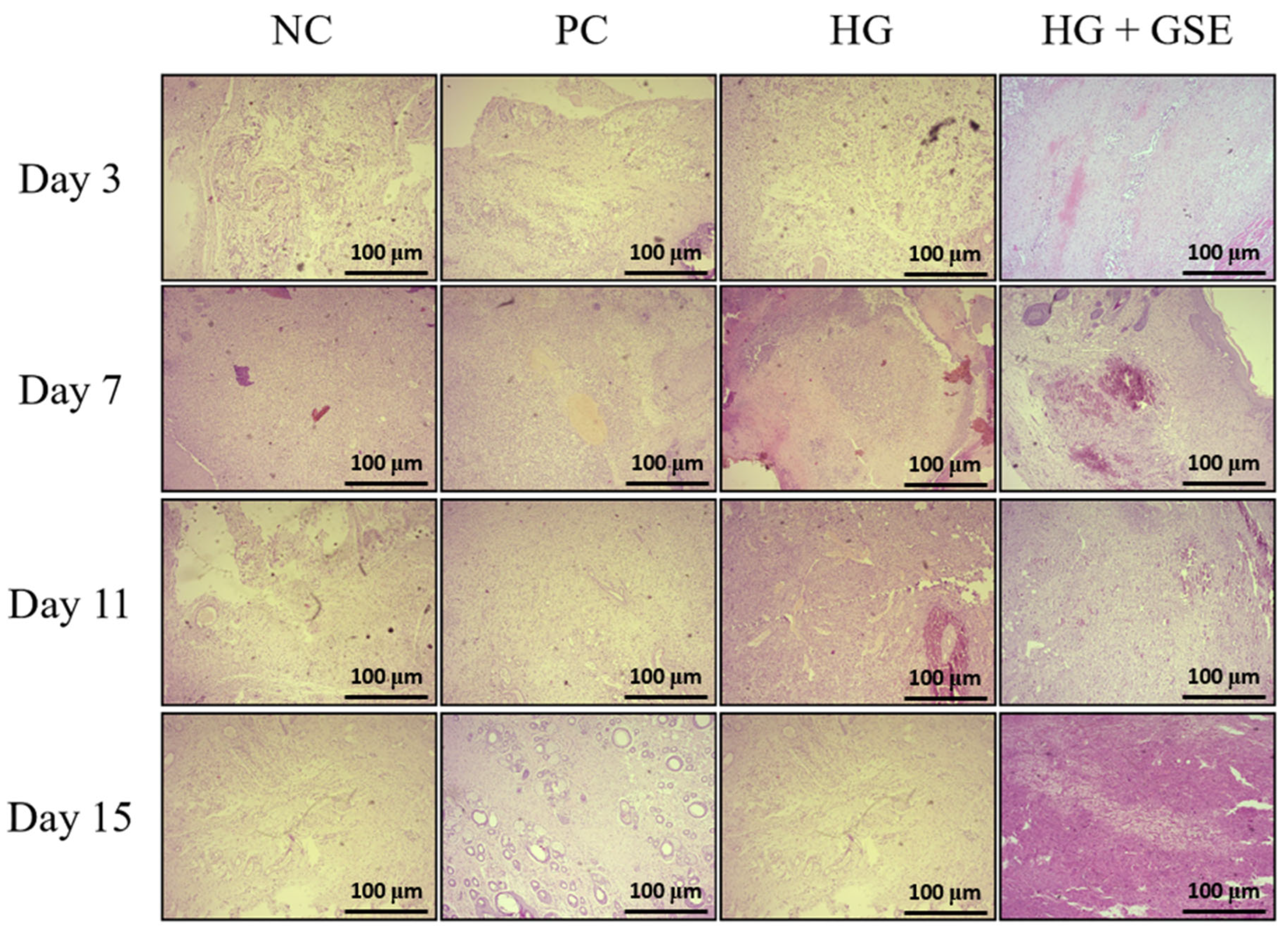 Pharmaceutics 17 01464 g008