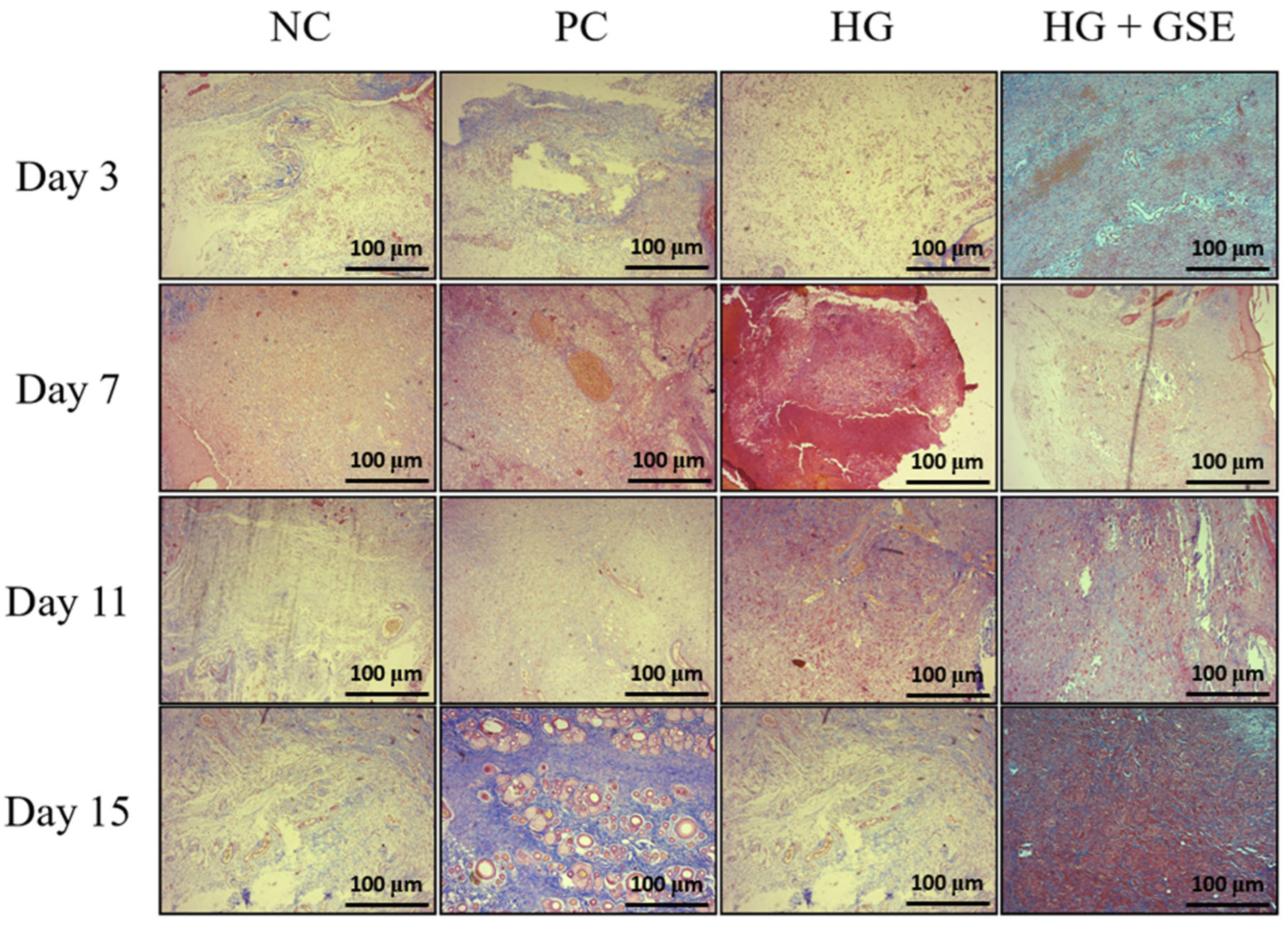 Pharmaceutics 17 01464 g009