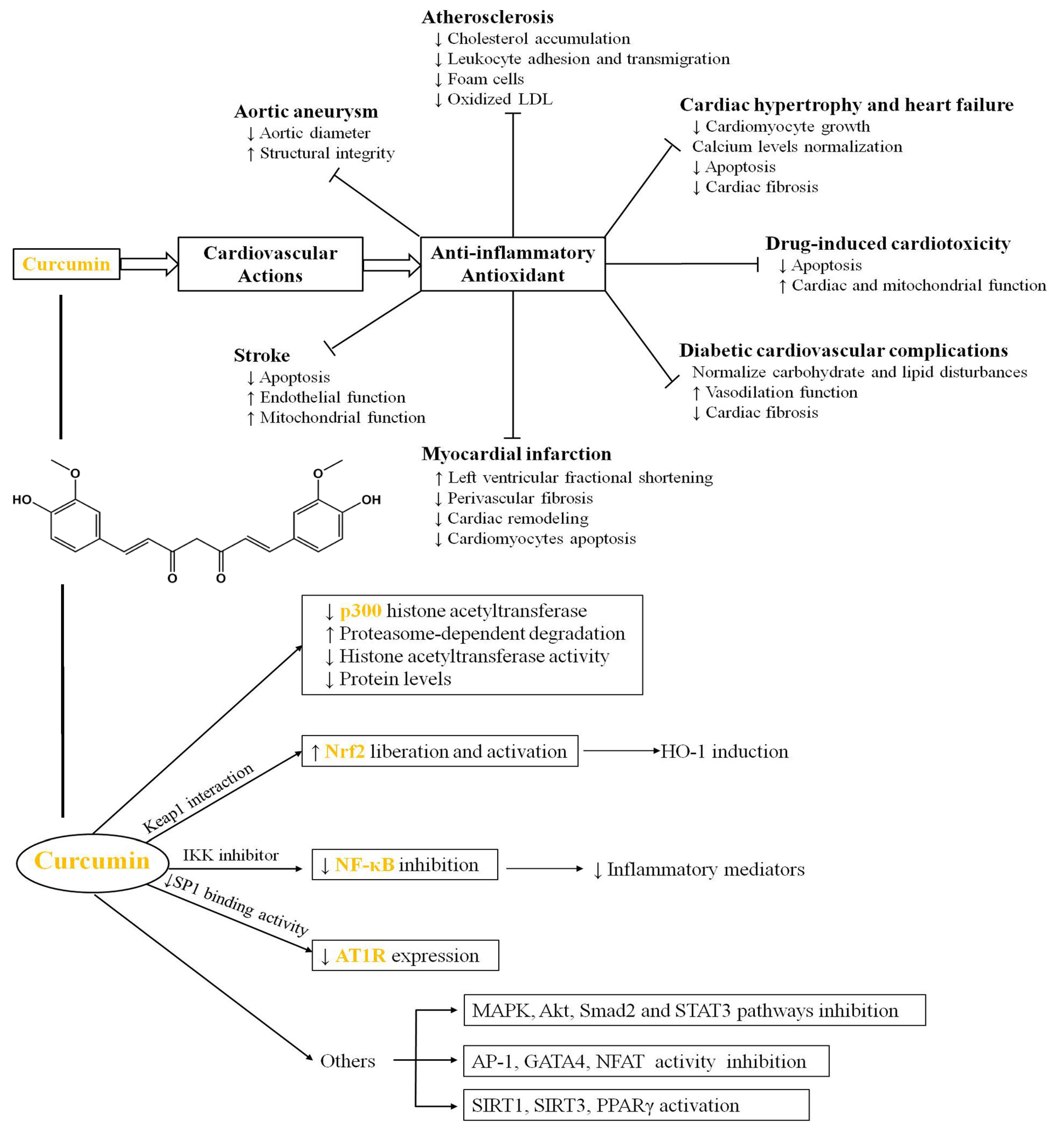 Pharmaceutics 17 01465 g003 Pharmaceutics 17 01465 g003