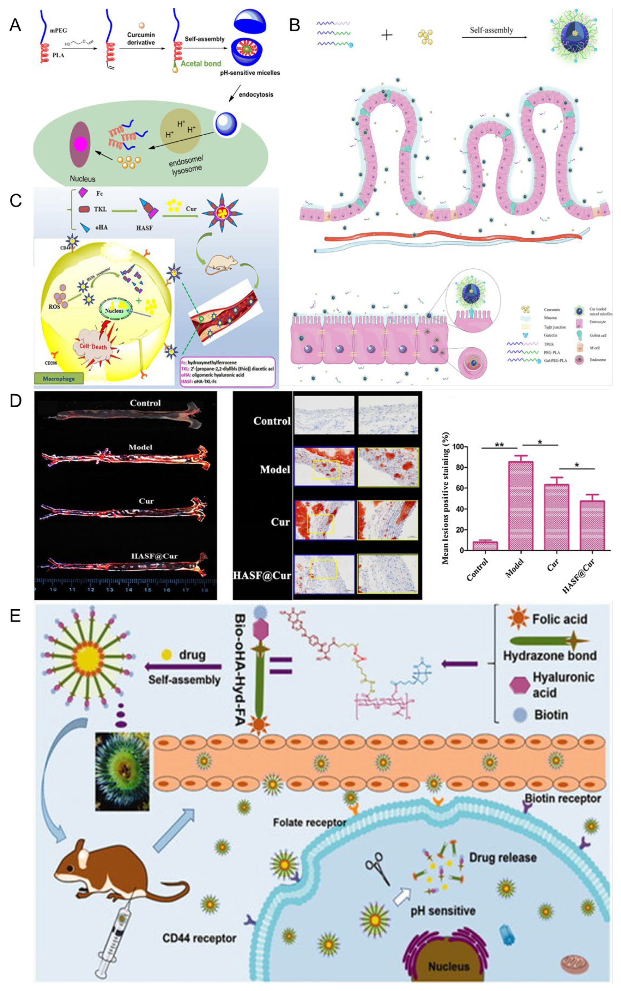 Pharmaceutics 17 01465 g005 Pharmaceutics 17 01465 g005