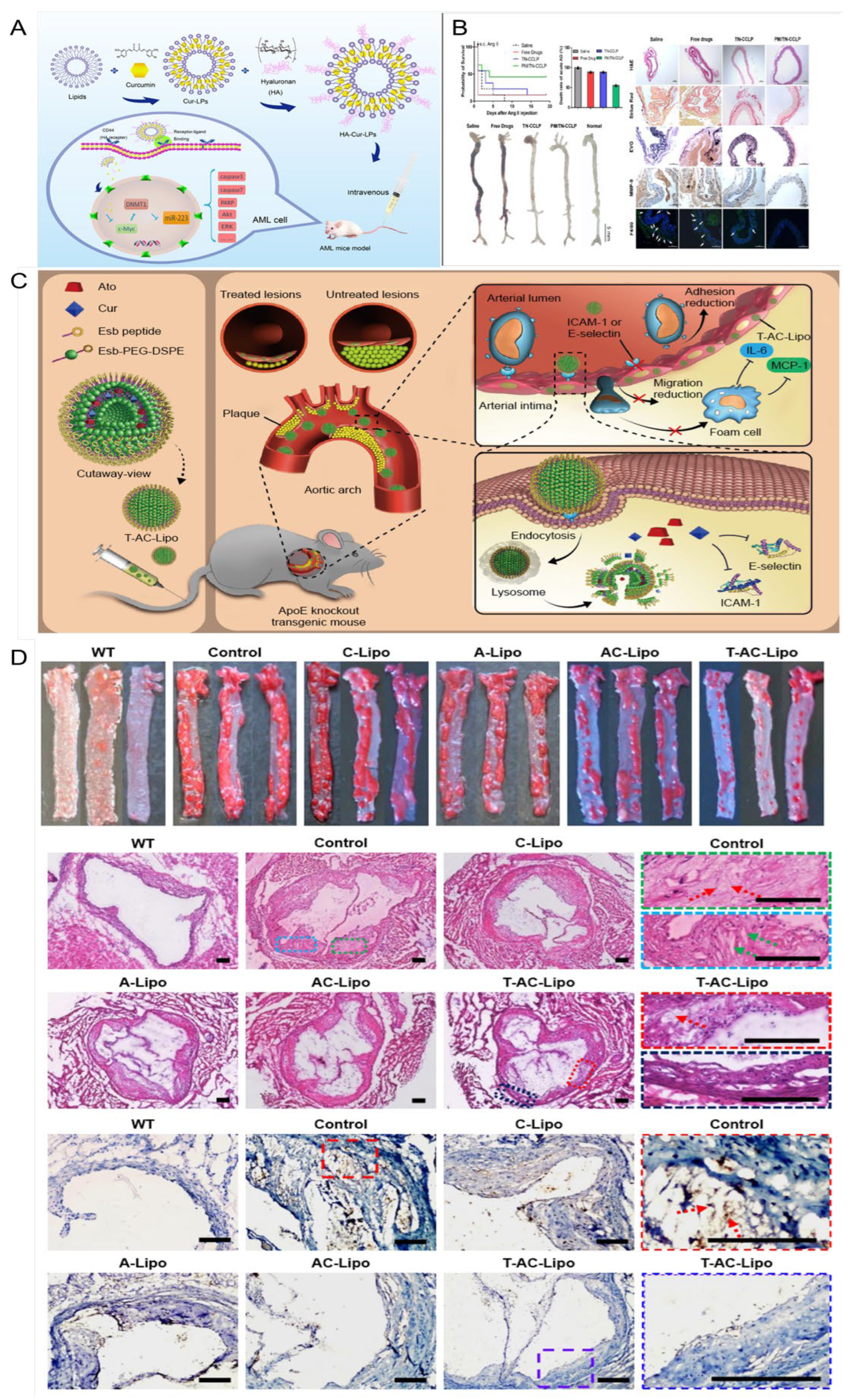 Pharmaceutics 17 01465 g006 Pharmaceutics 17 01465 g006