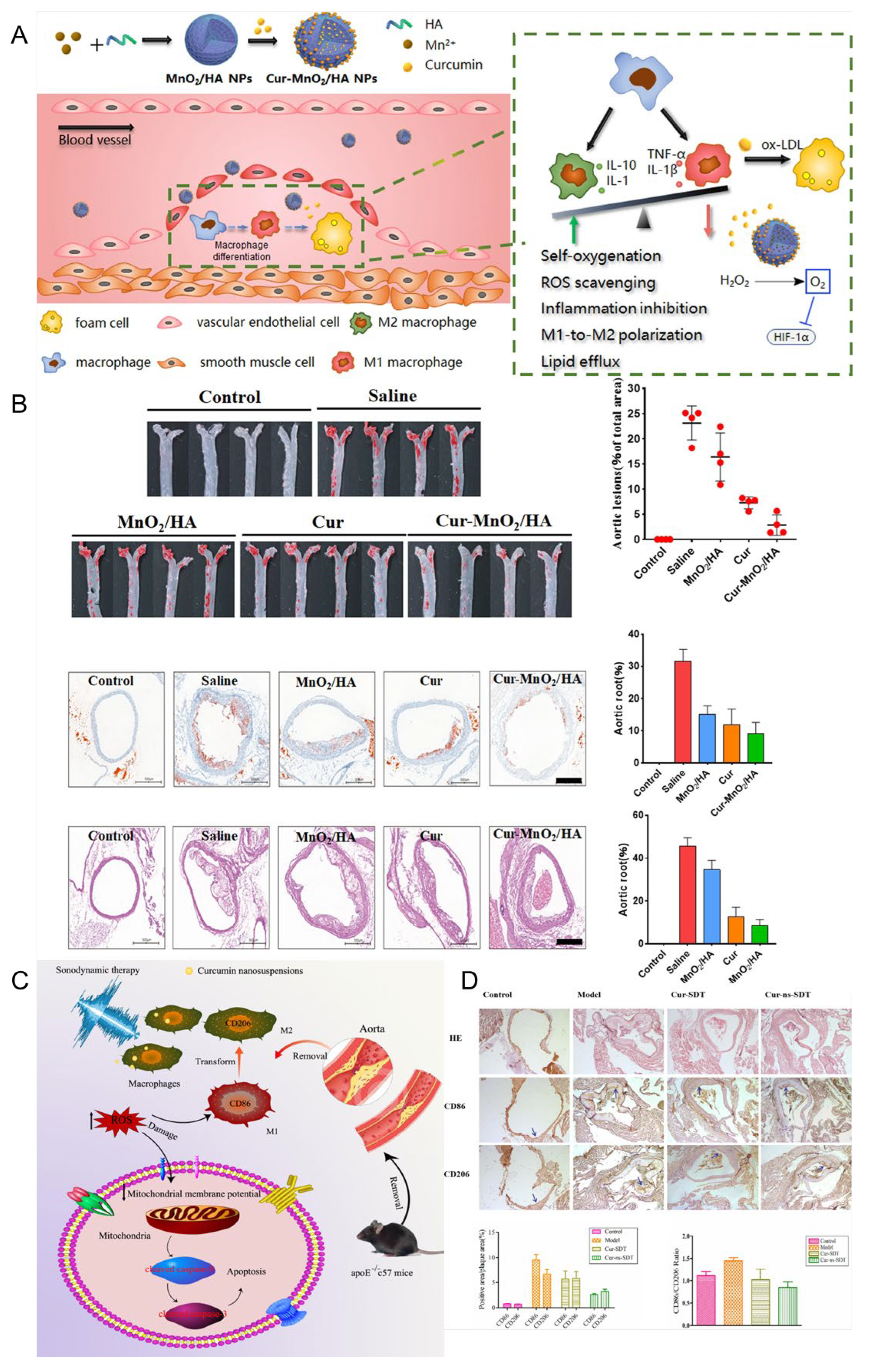 Pharmaceutics 17 01465 g007 Pharmaceutics 17 01465 g007