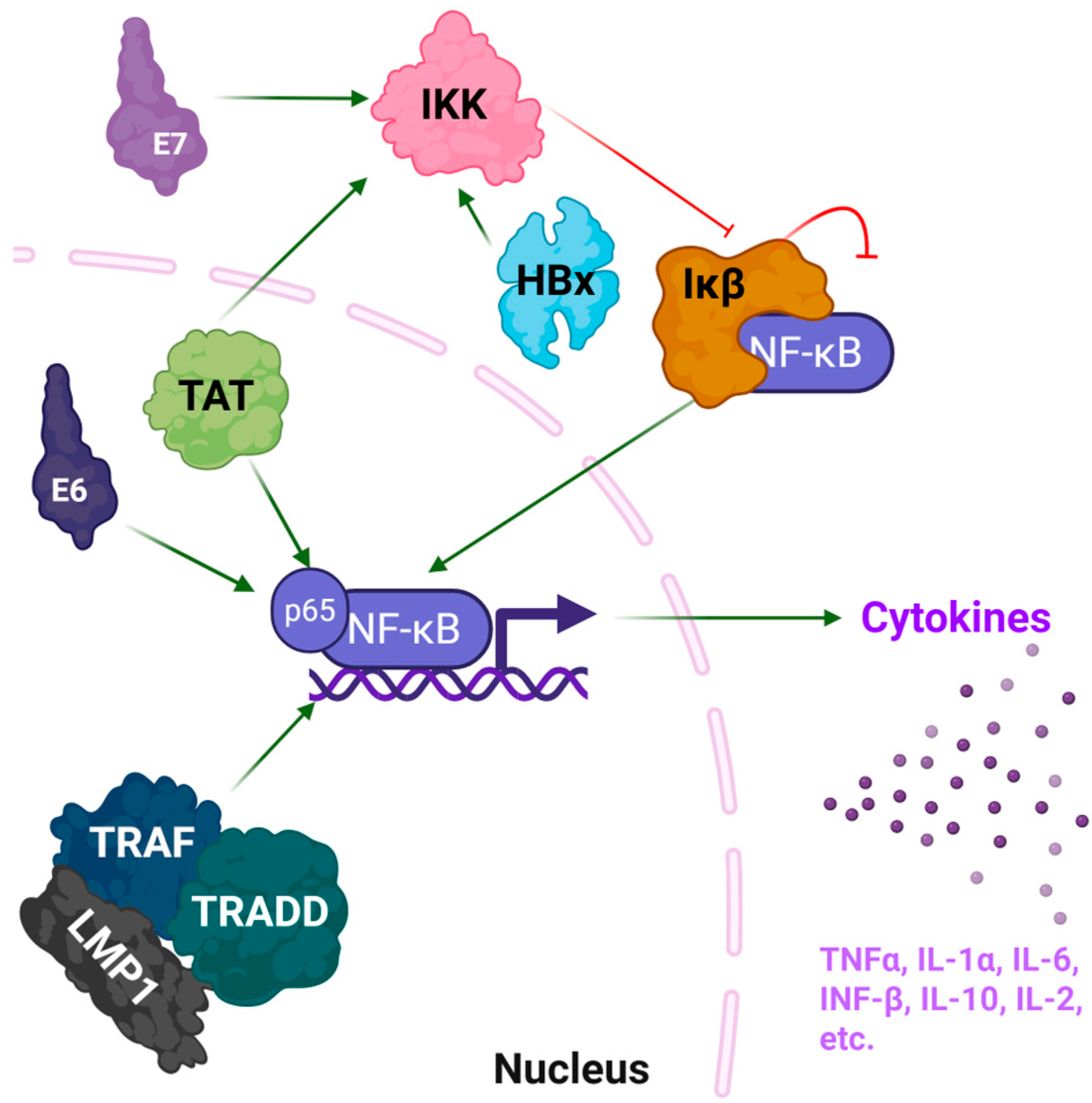 Pharmaceutics 17 01466 g001