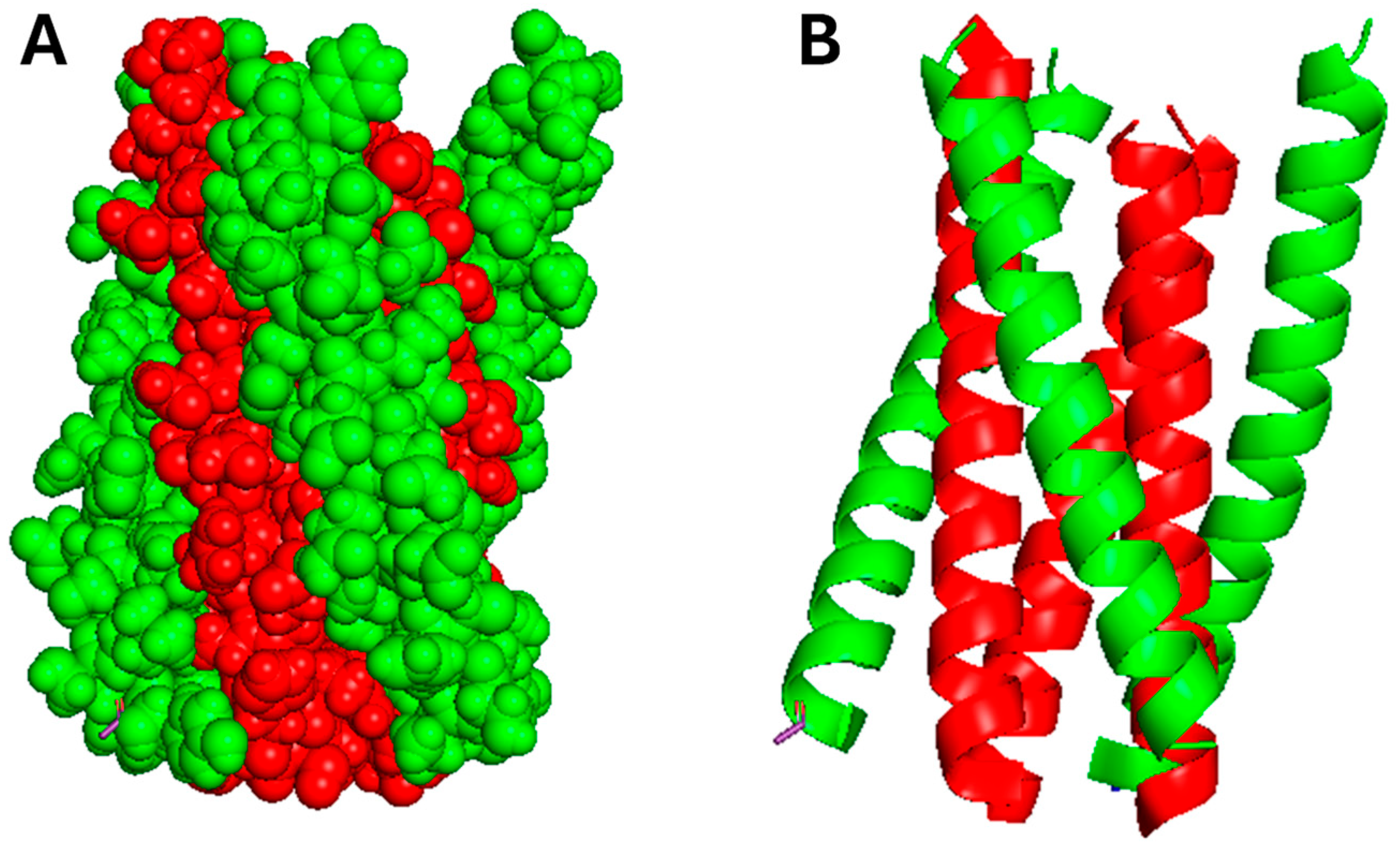 Pharmaceutics 17 01466 g012