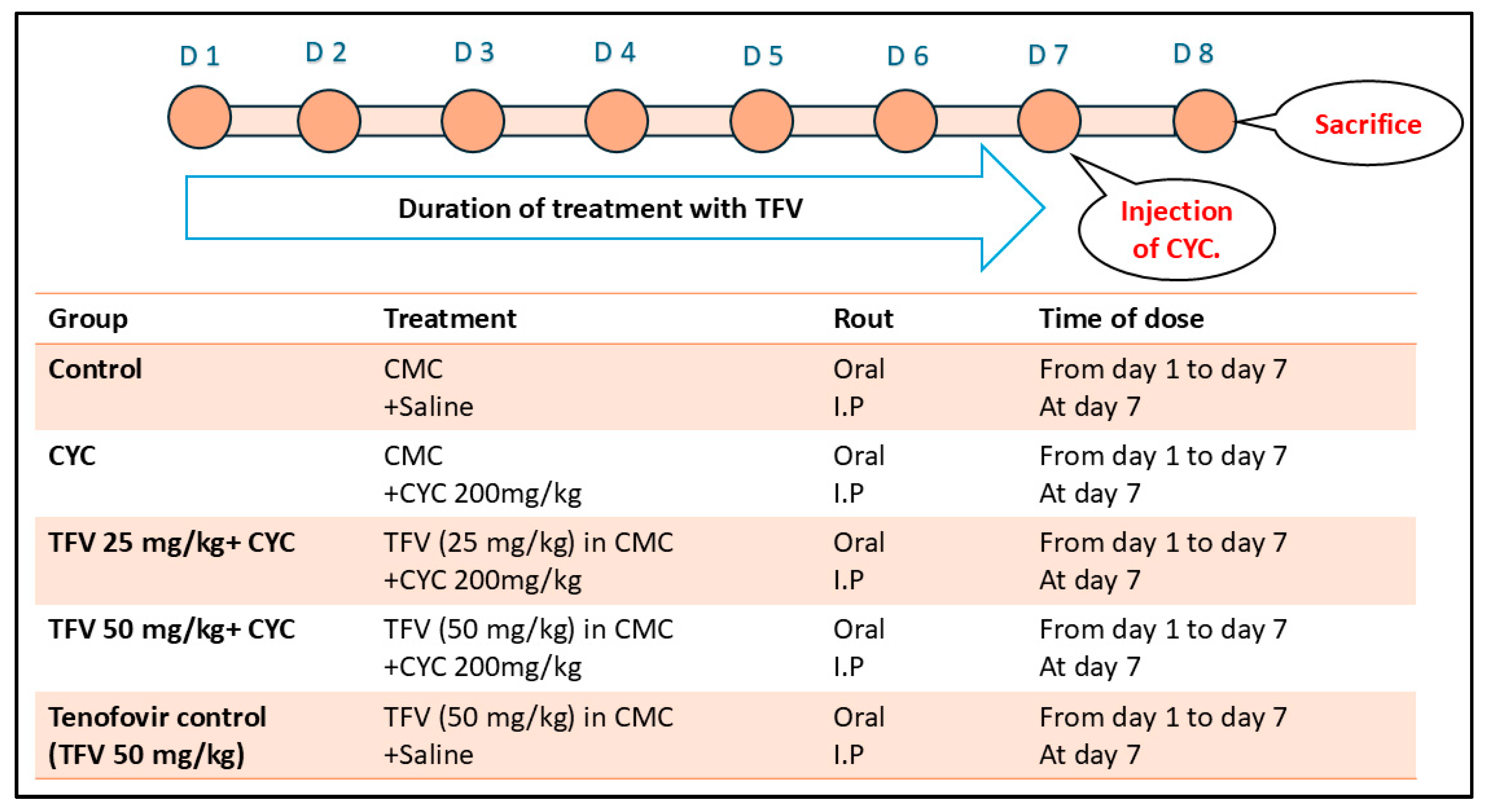 Pharmaceutics 17 01467 g001 Pharmaceutics 17 01467 g001