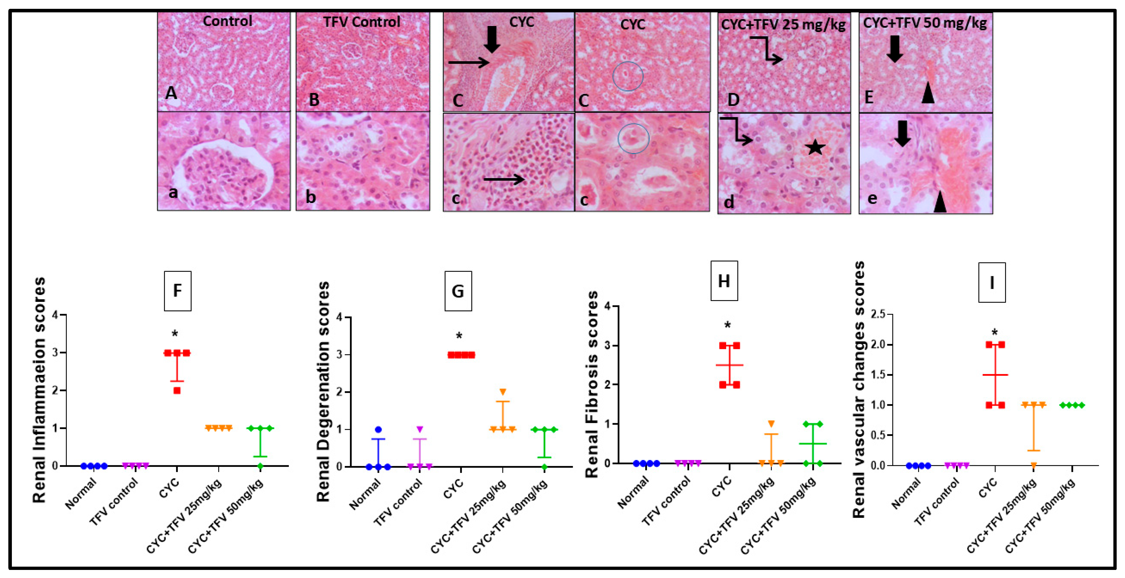 Pharmaceutics 17 01467 g003 Pharmaceutics 17 01467 g003